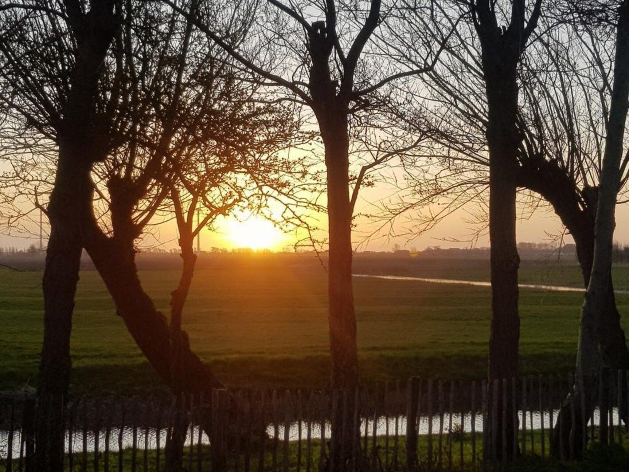 De omgeving van Vogelvrij 5 in Burgerbrug