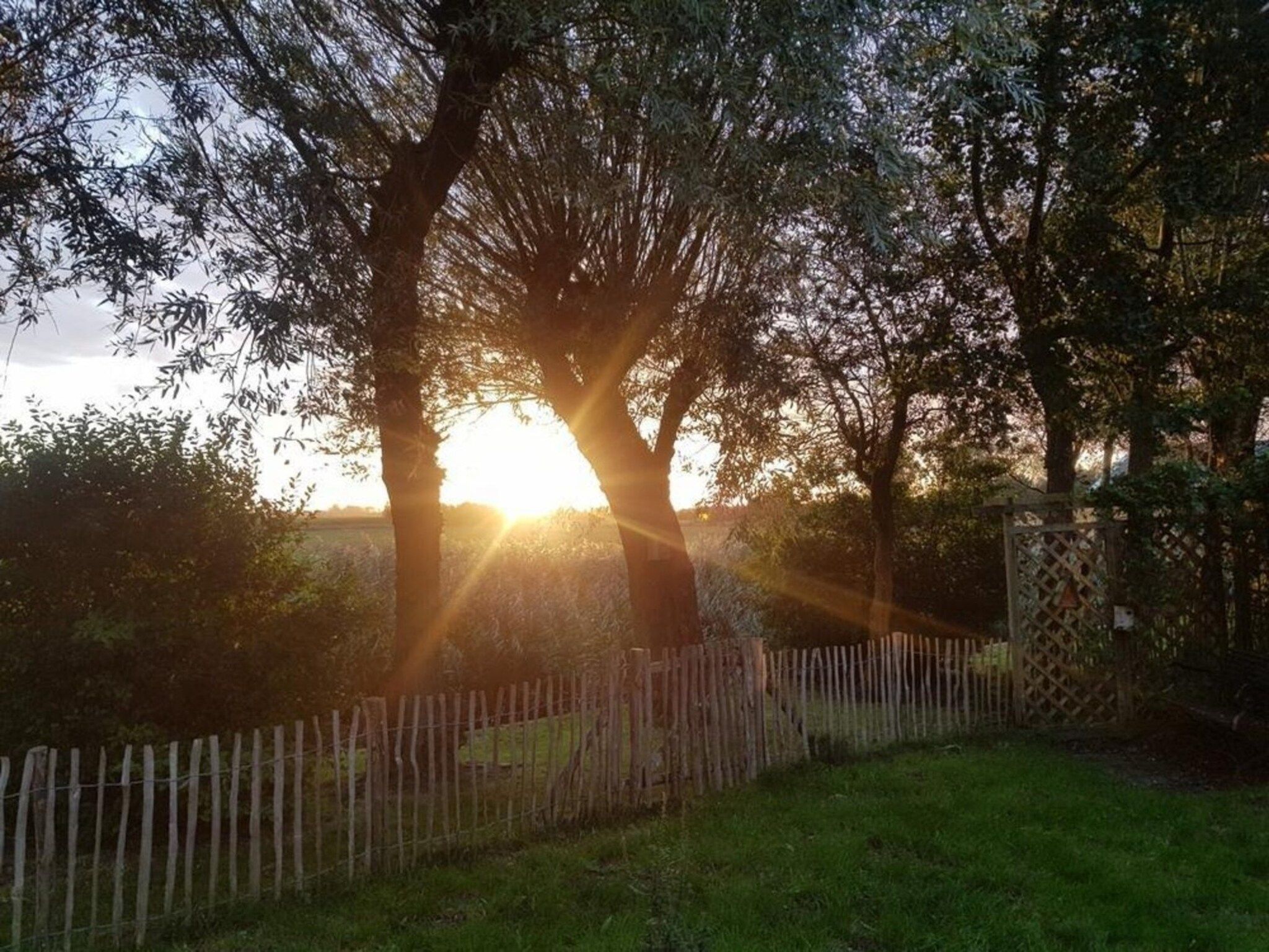 De omgeving van Vogelvrij 5 in Burgerbrug