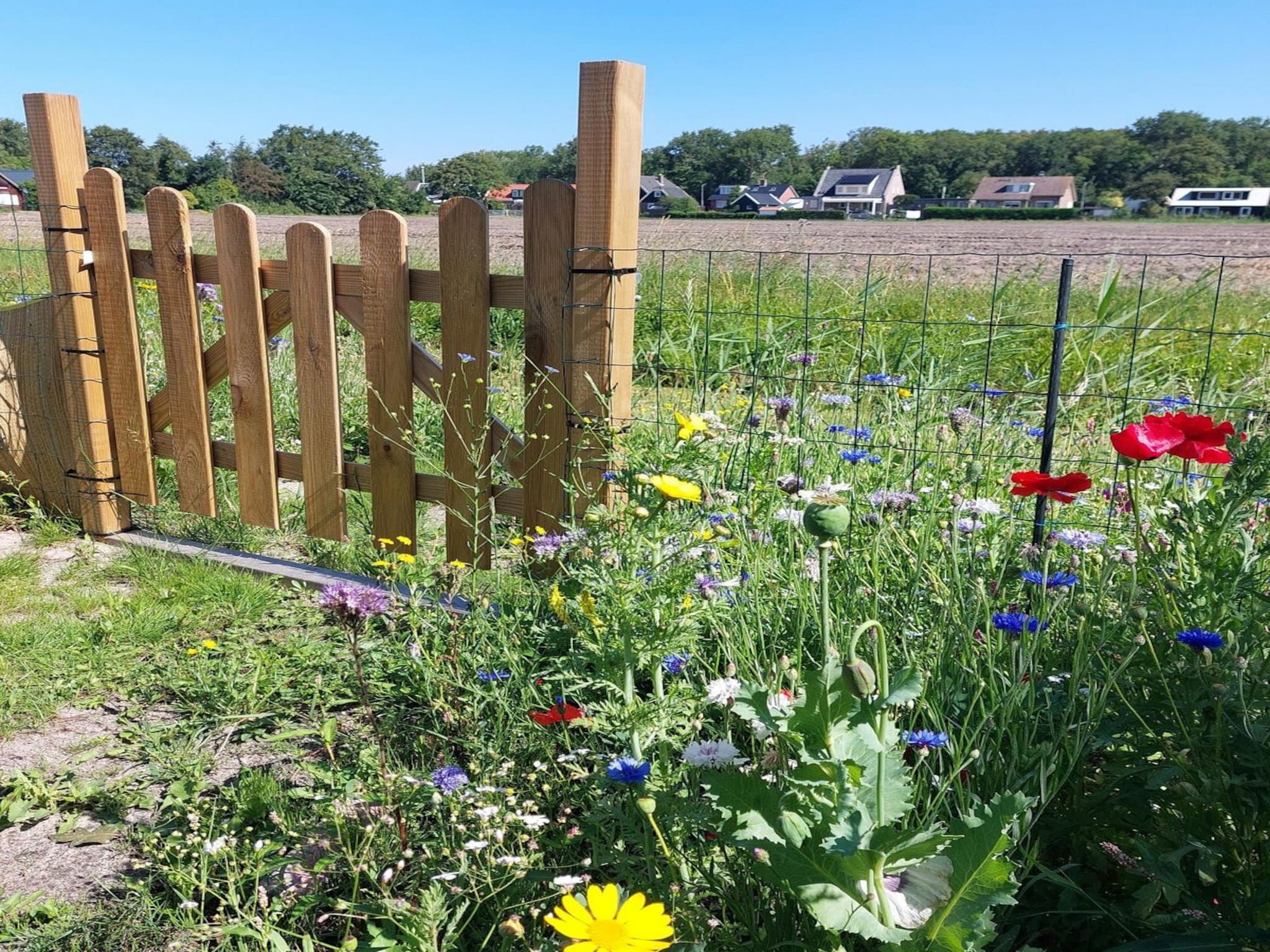 Eureka 102 in Sint Maartensvlotbrug - Foto 20 van 27