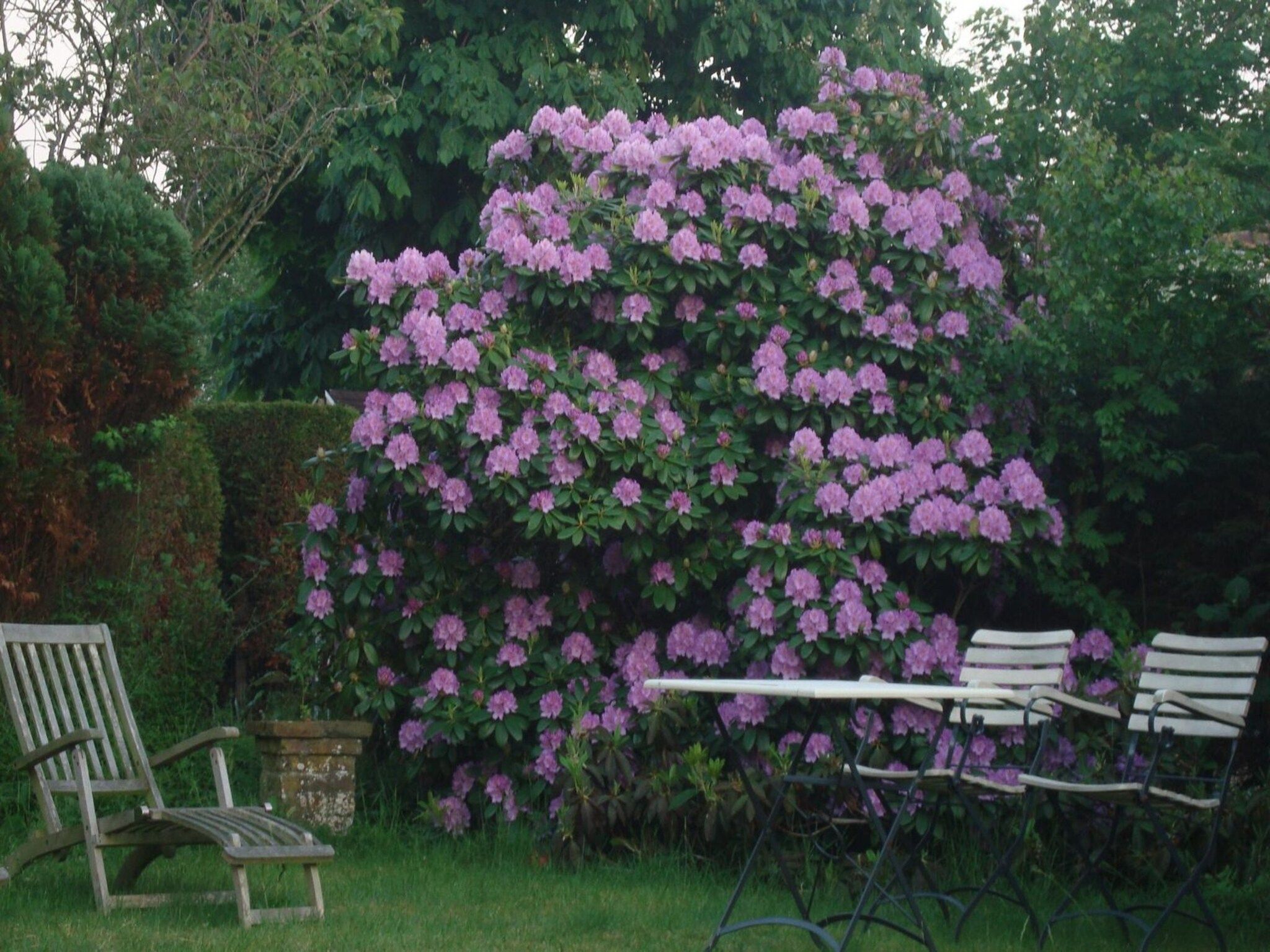 De tuin van Eureka 102 in Sint Maartensvlotbrug