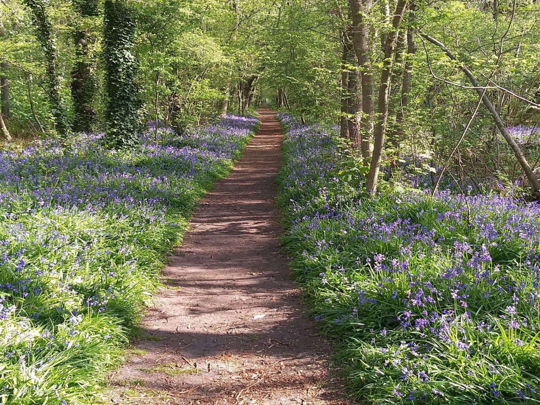De omgeving van Eureka 102 in Sint Maartensvlotbrug