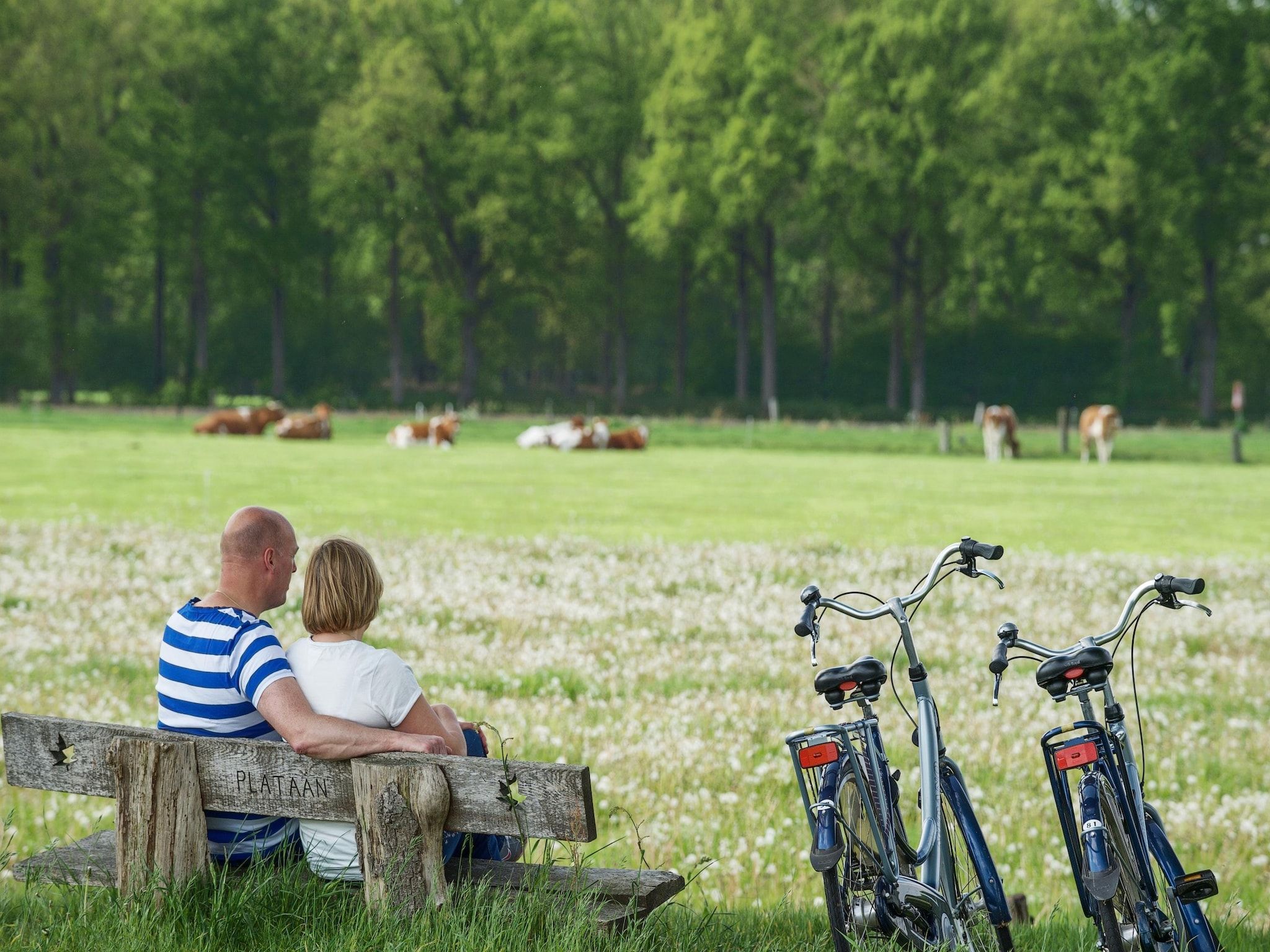De omgeving van Holiday home 8 persons Premium in Scherpenzeel