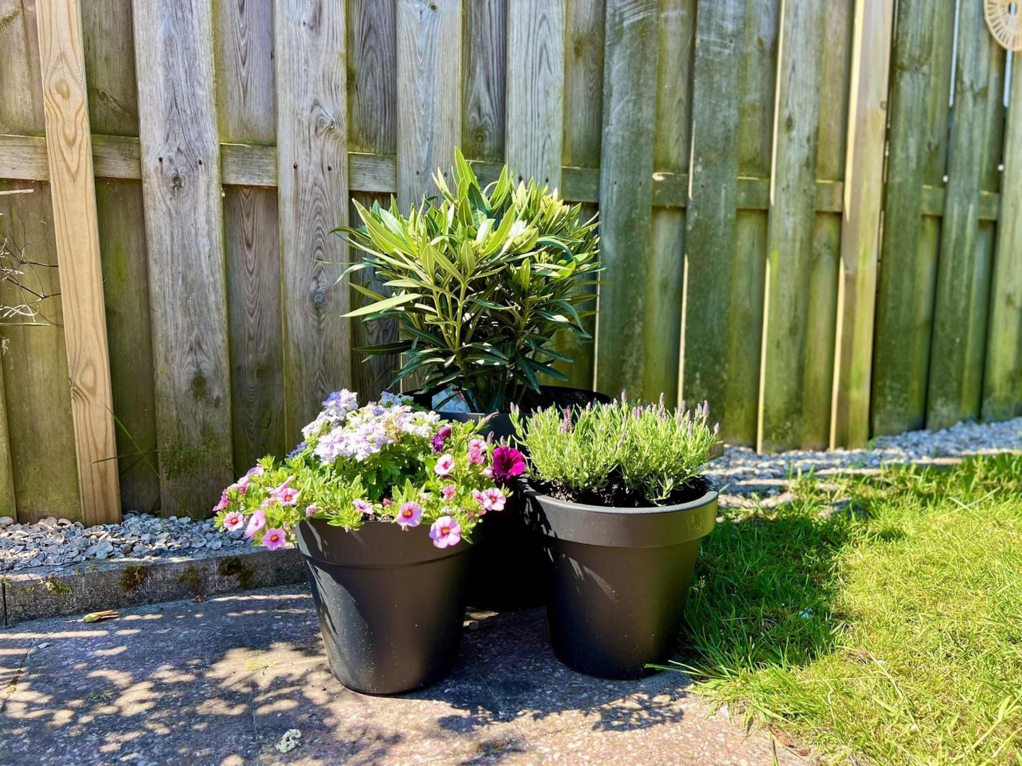 Sfeerbeeld van Eb en Vloed 62 in Sint Maartenszee