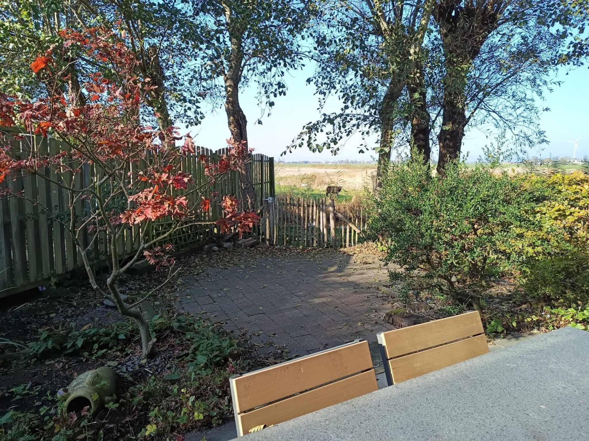De tuin van Vogelvrij 3 in Sint Maartenszee