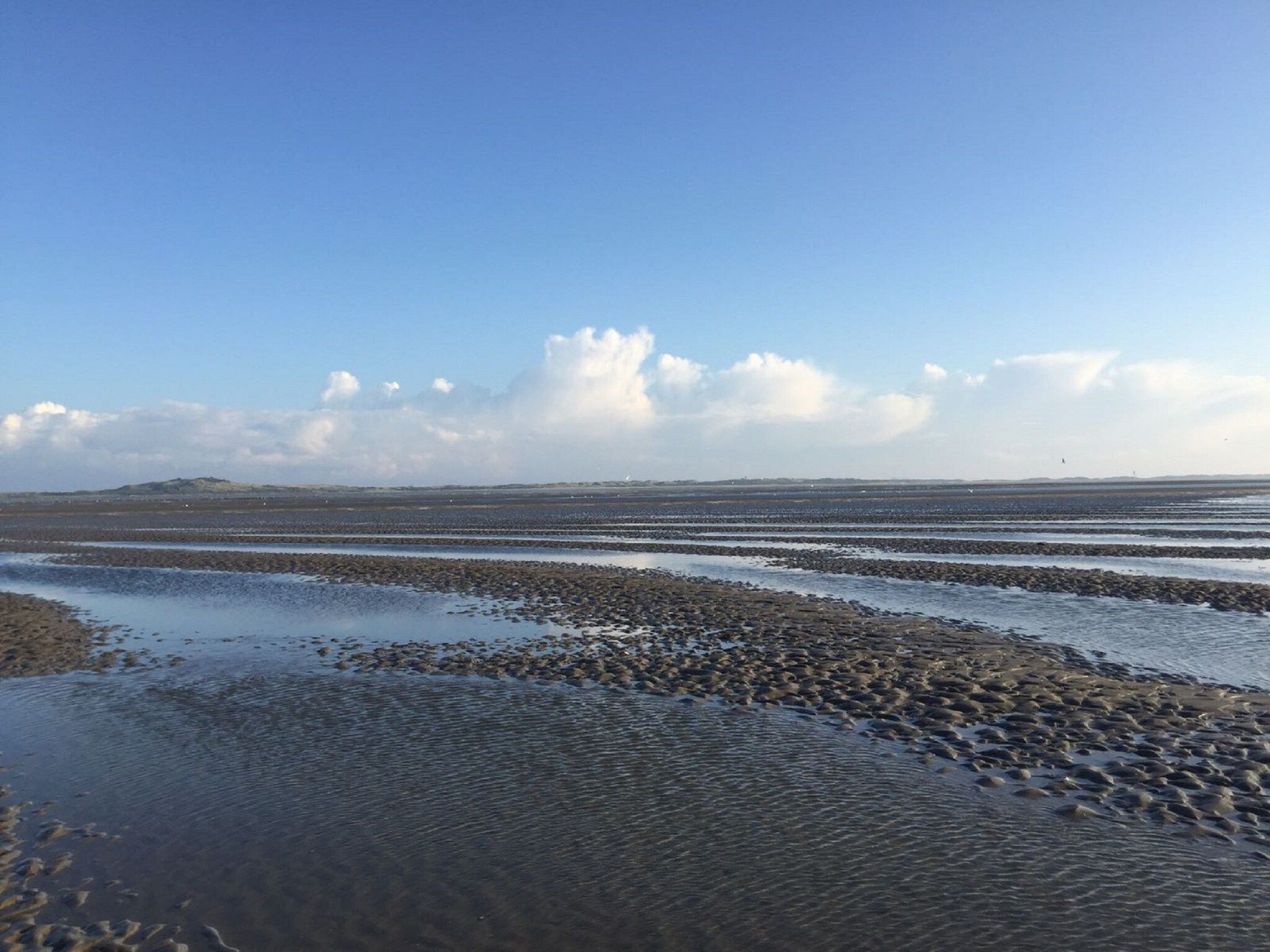 De omgeving van VT101 in Tzummarum