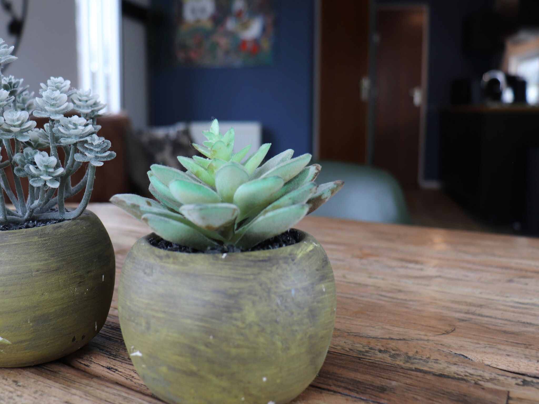 Sfeerbeeld van VT101 in Tzummarum