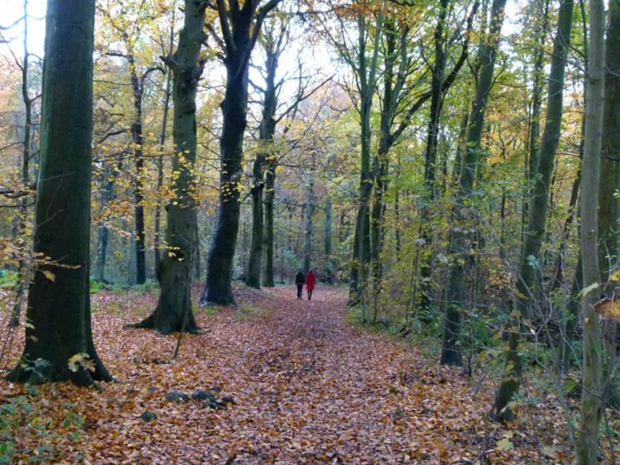 Strandpark Vlugtenburg 15 in s Gravenzande - Foto 13 van 27