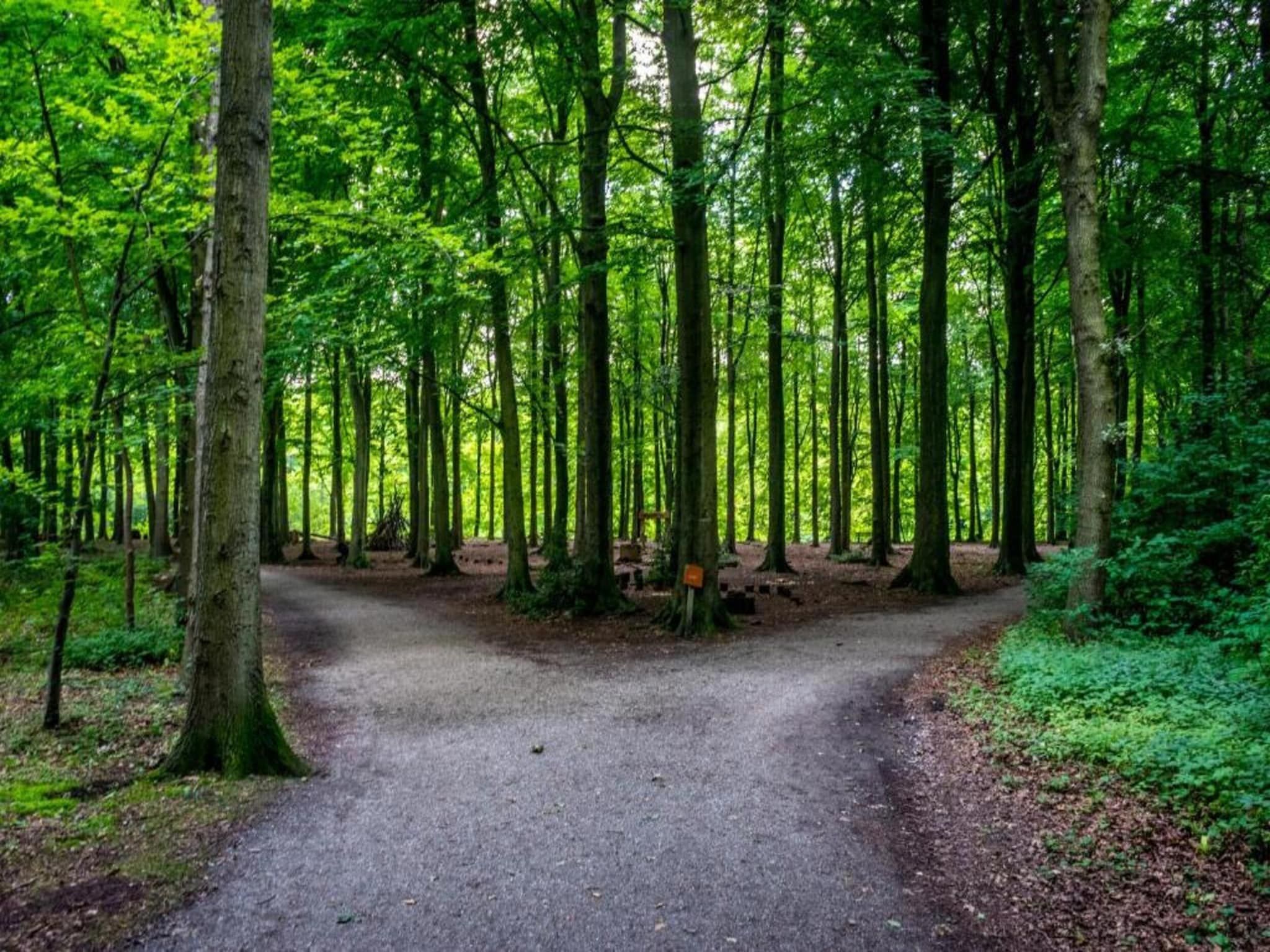 Maurits 2 in Den Haag - Foto 22 van 40