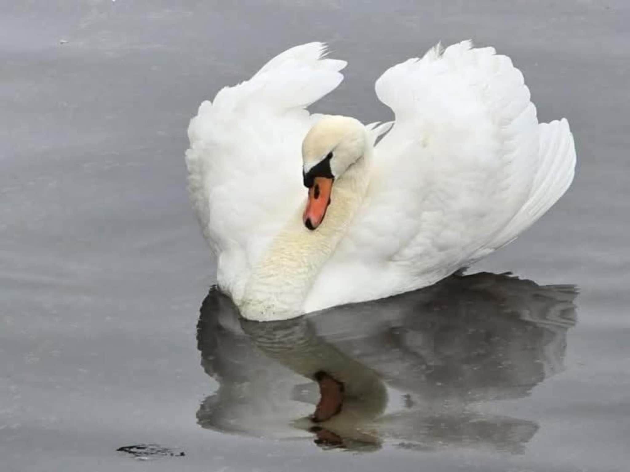 Delft 4C in Delft - Foto 37 van 40