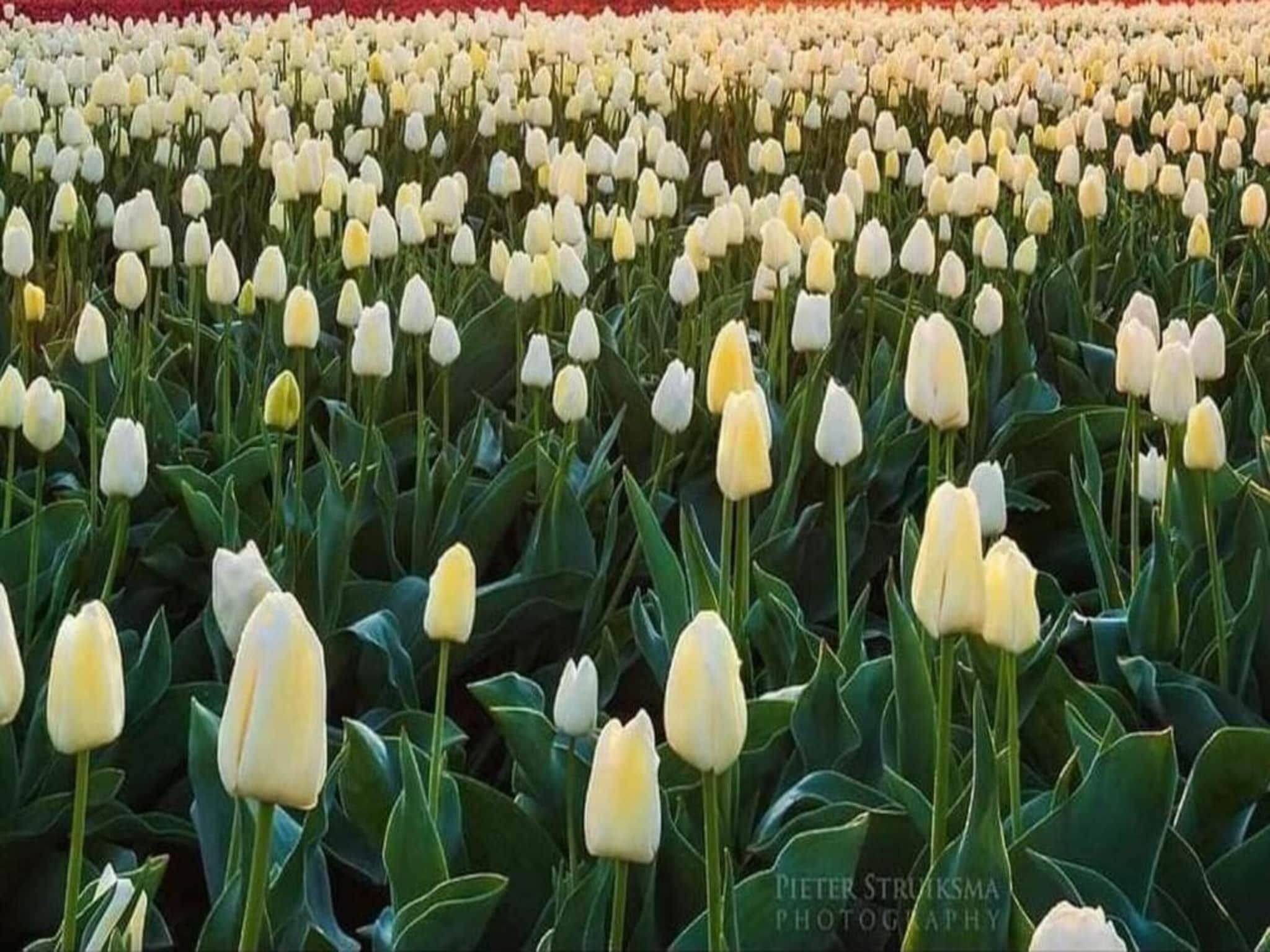 Delft 4C in Delft - Foto 36 van 40