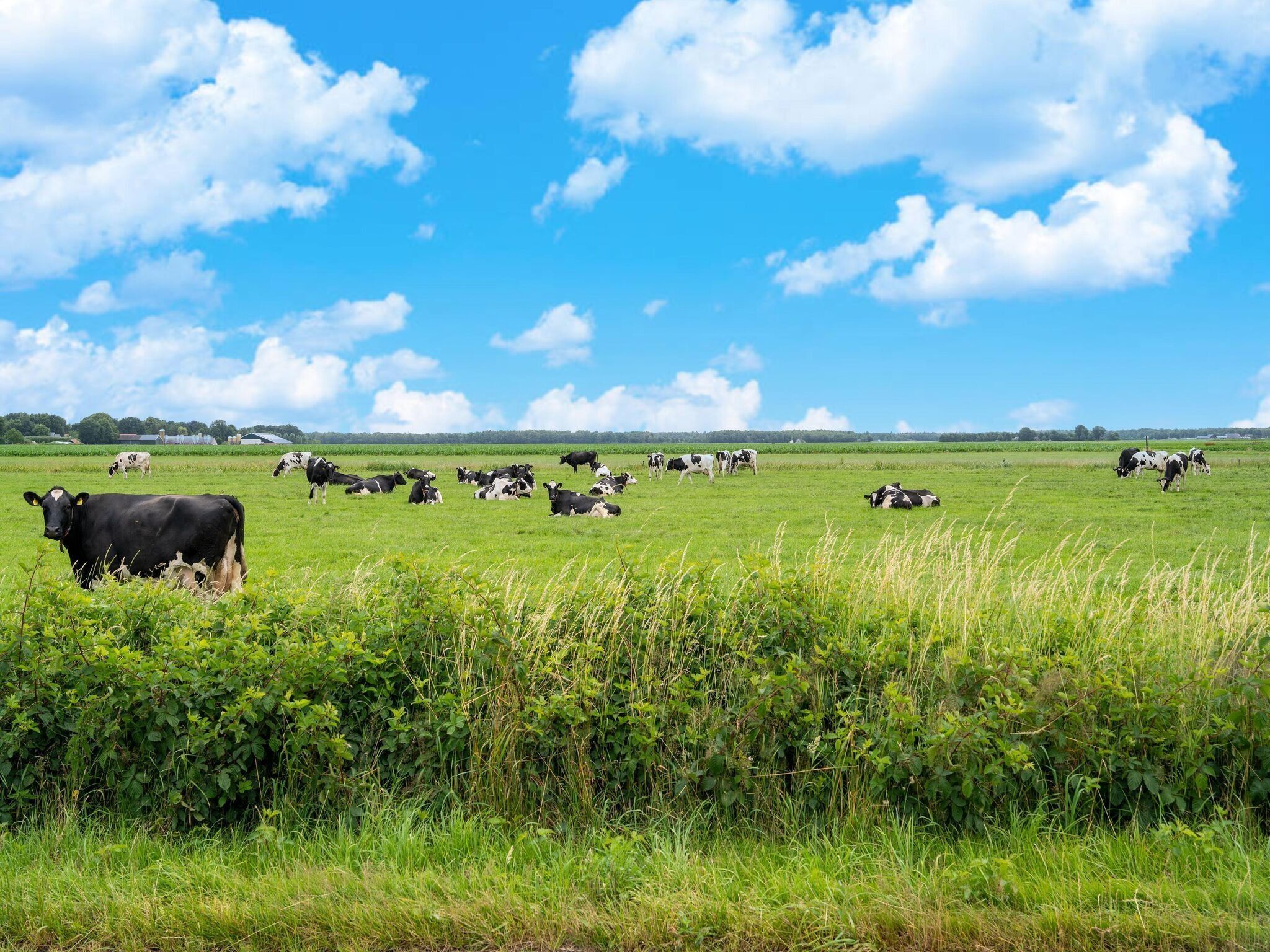 De omgeving van De Parel in Hattemerbroek