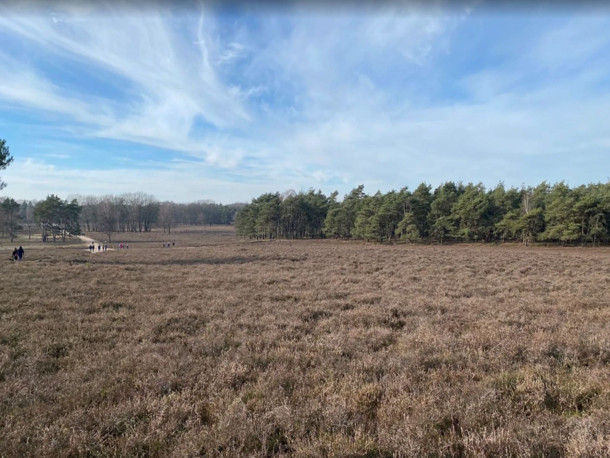 De Parel in Hattemerbroek - Foto 34 van 36