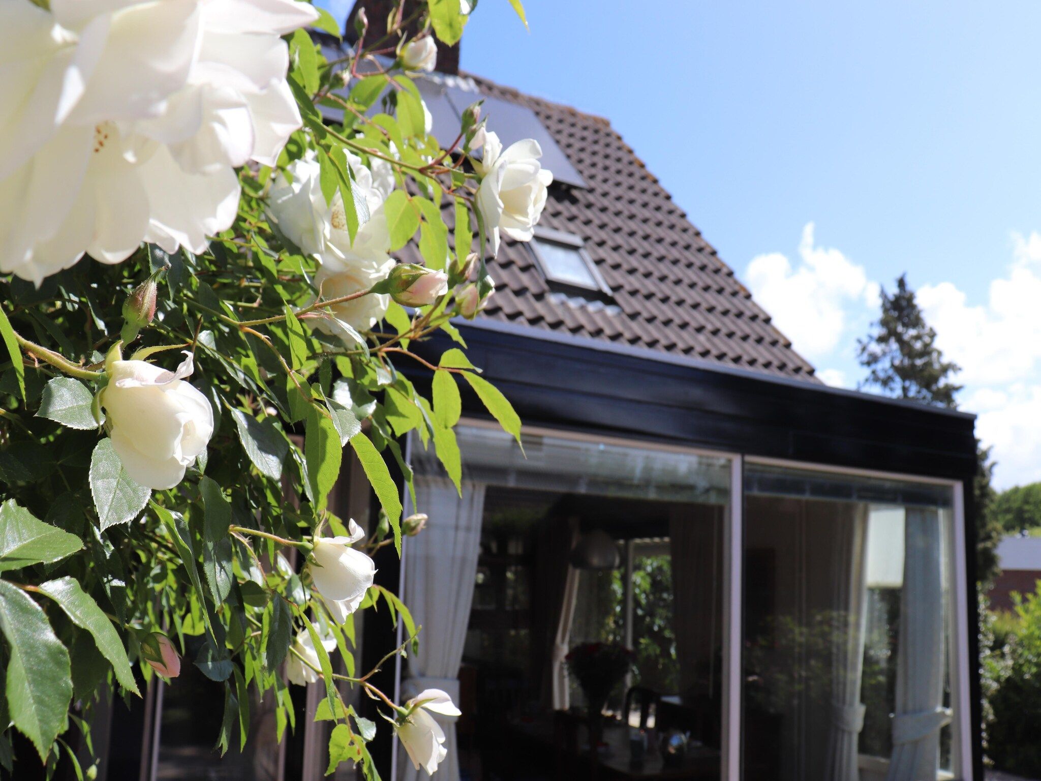 Sfeerbeeld van Constance in Noordwijkerhout