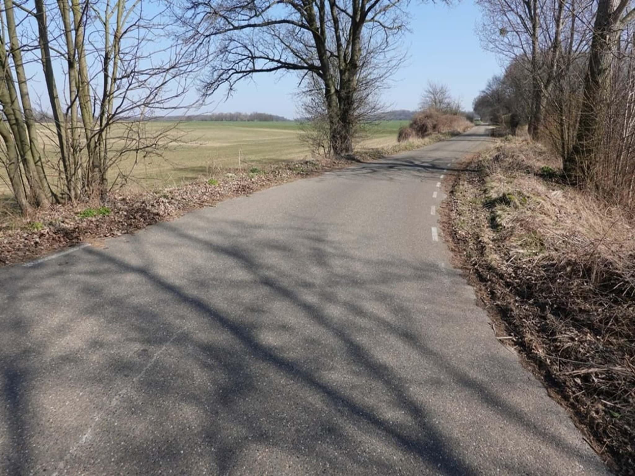 Ravenbosch - Sauna in Bemelen - Foto 21 van 40