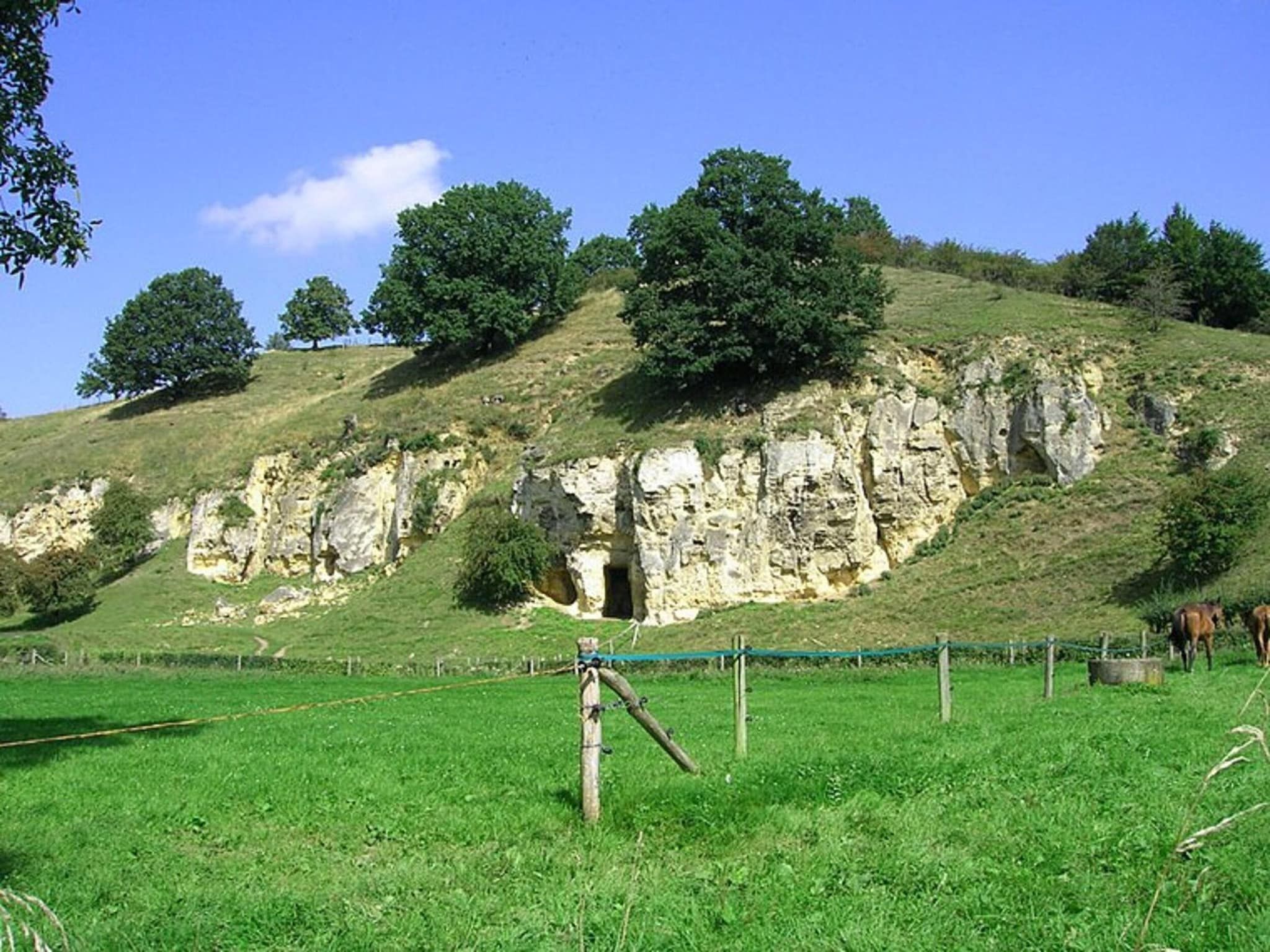 Ravenbosch - Sauna in Bemelen - Foto 34 van 40
