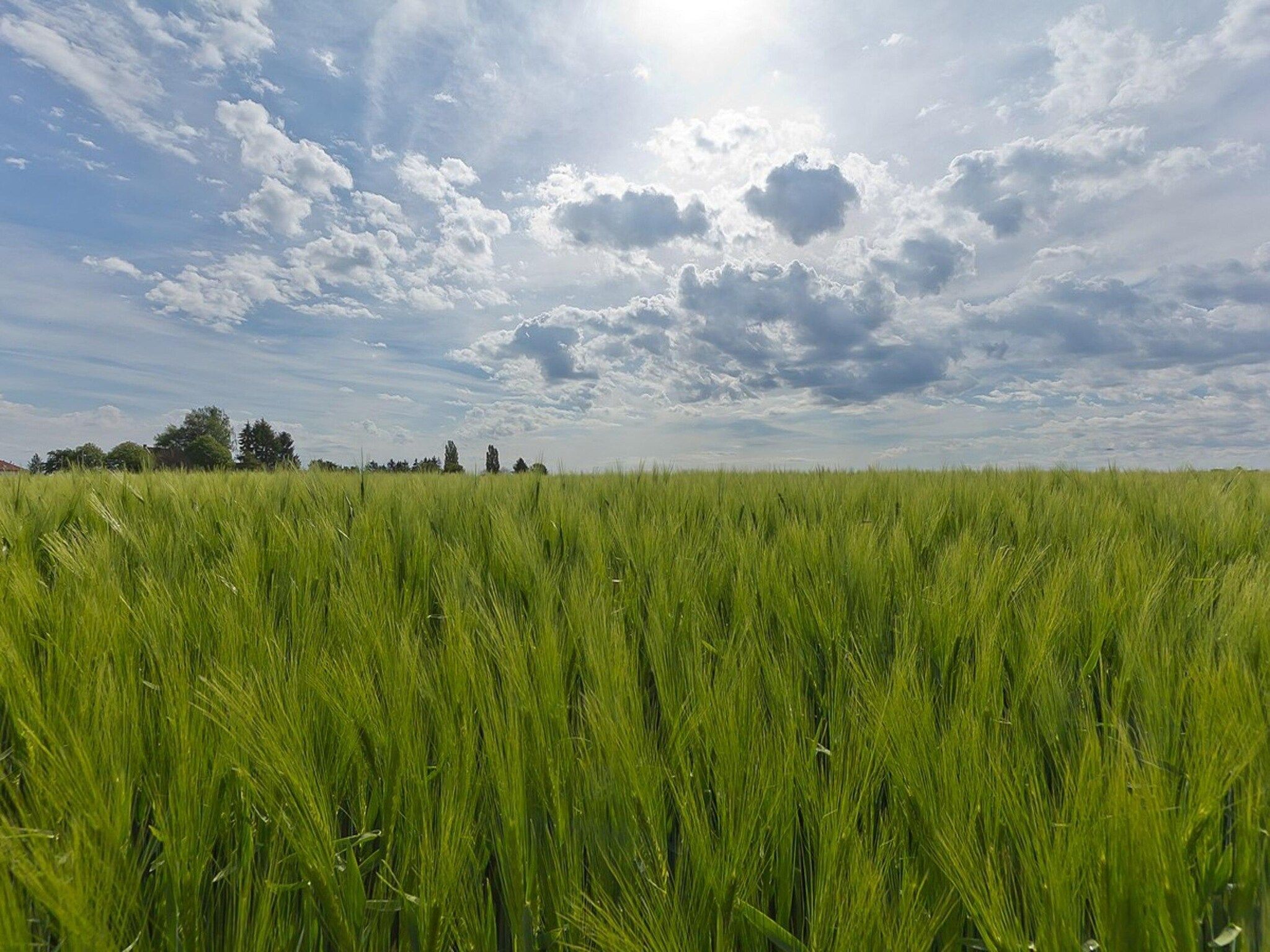 Ravenbosch - Sauna in Bemelen - Foto 37 van 40