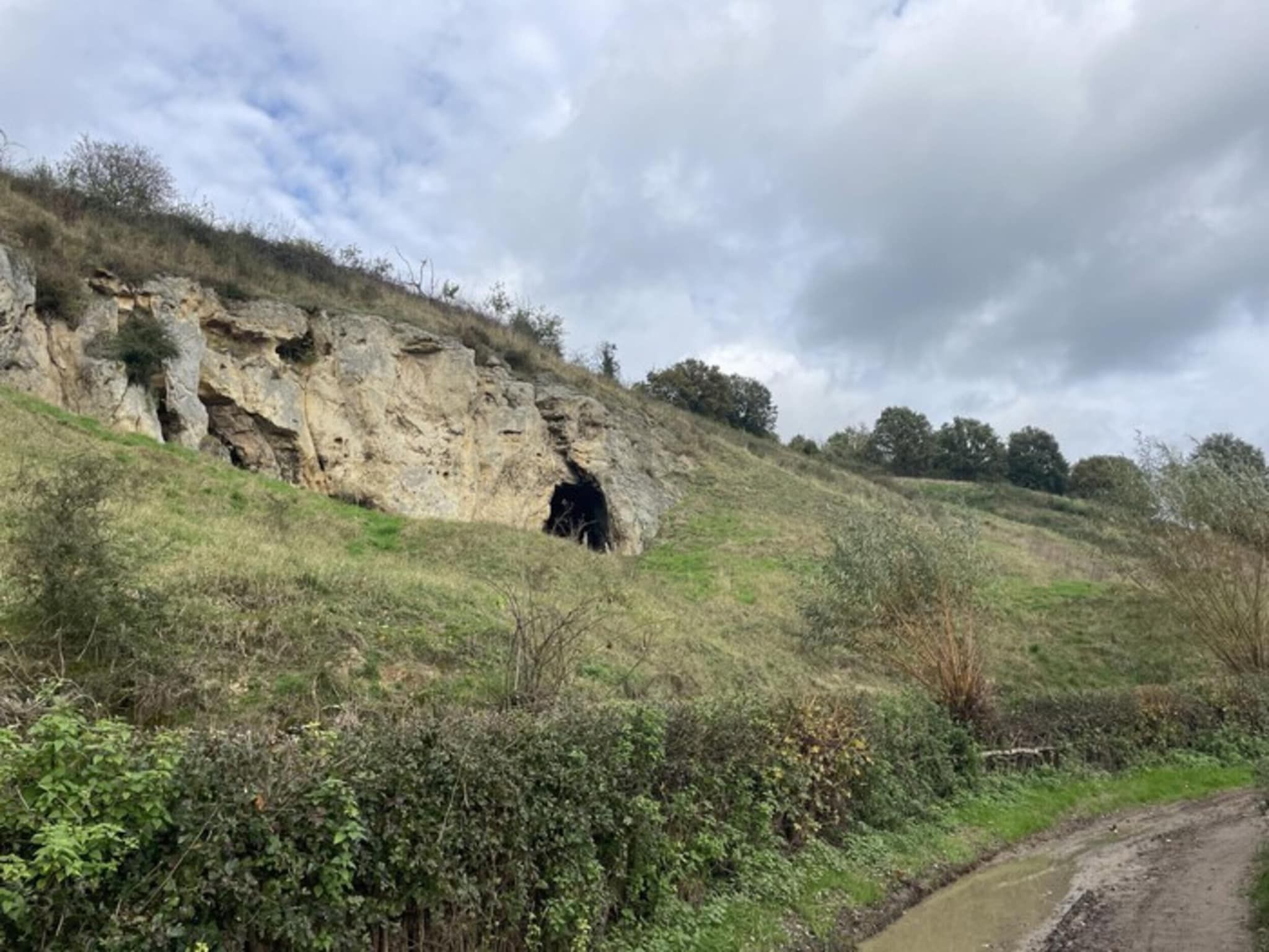 Ravenbosch - Sauna in Bemelen - Foto 31 van 40