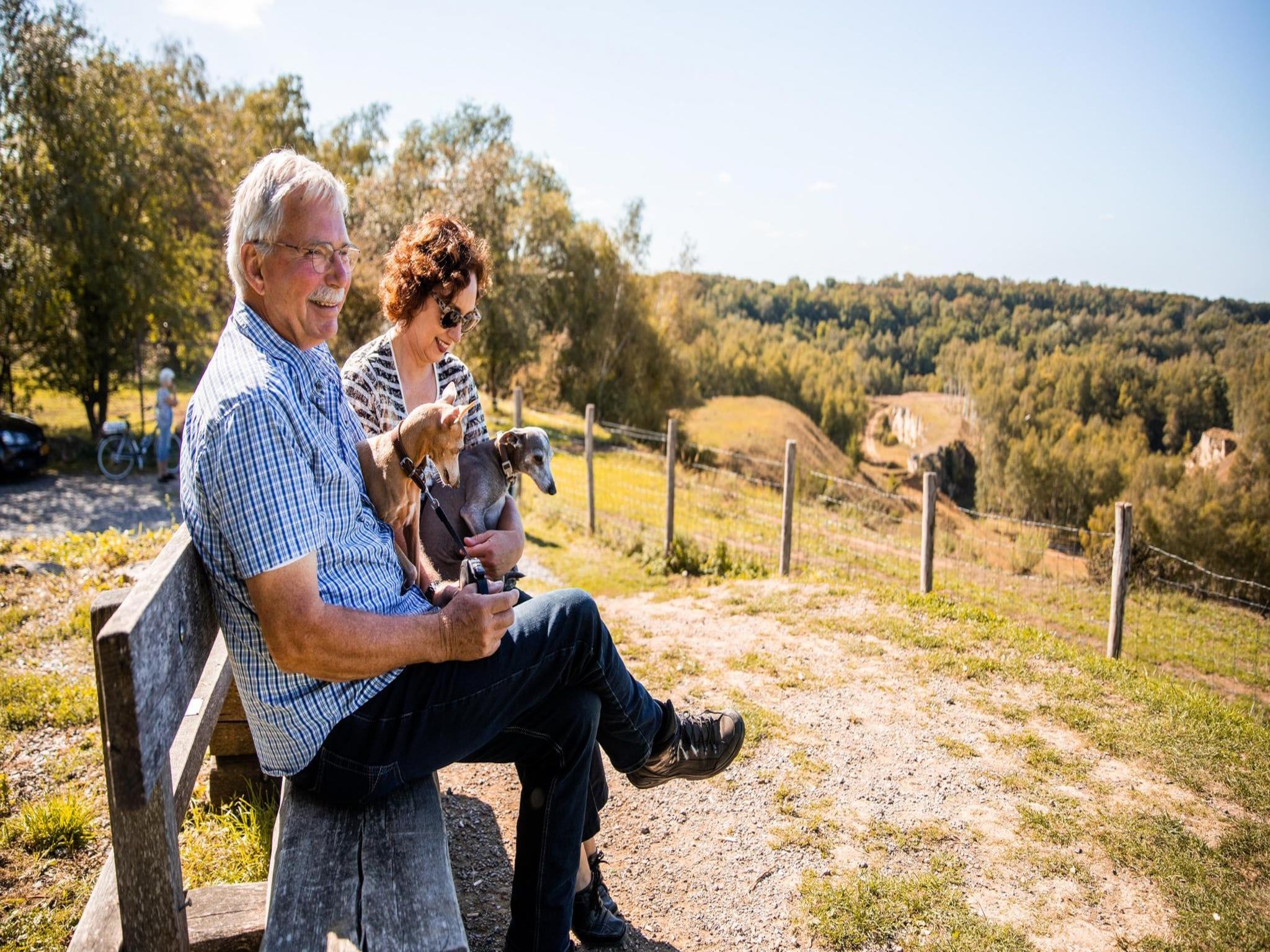 De tuin van Ravenbosch - Garden Shed in Bemelen