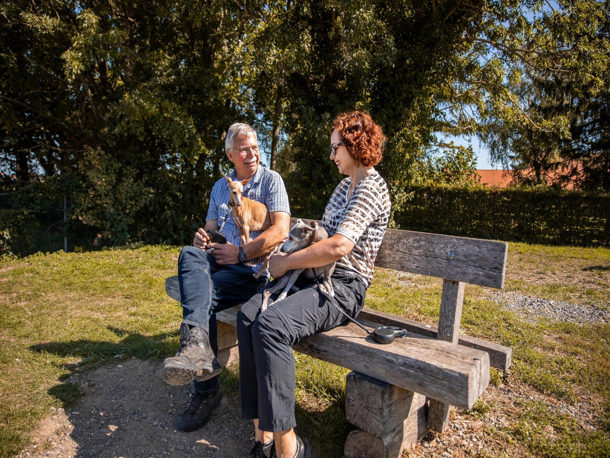 De tuin van Ravenbosch - Garden Shed in Bemelen
