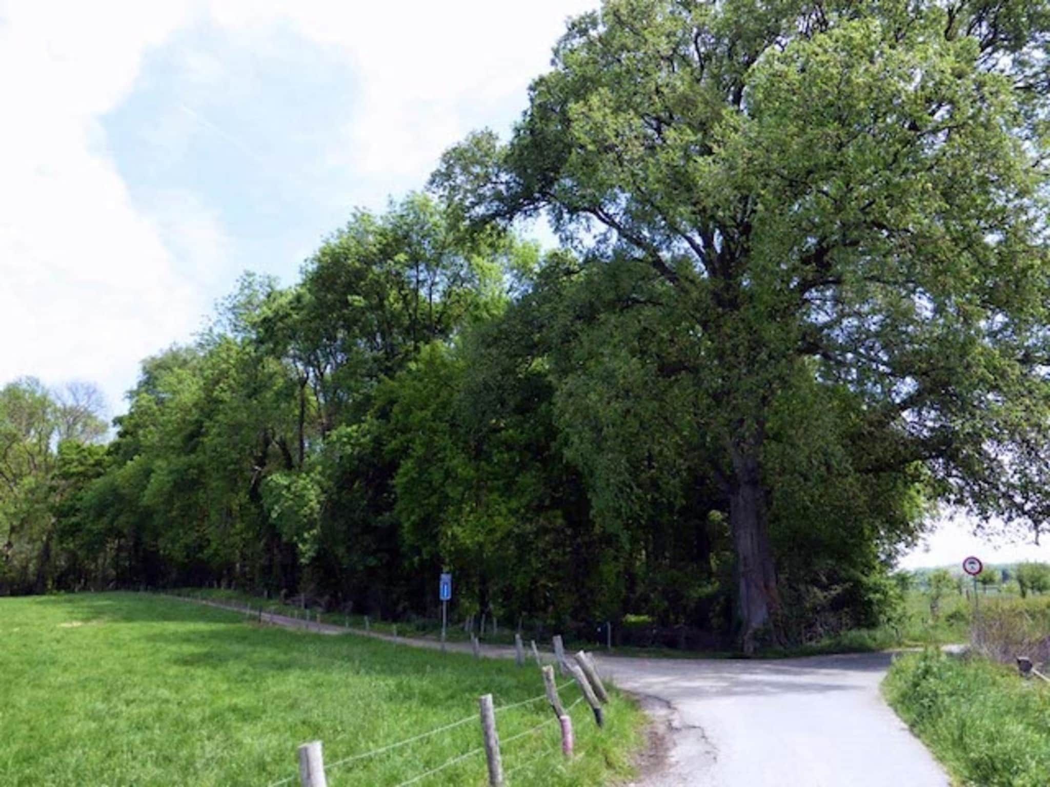 Ravenbosch - Garden Shed in Bemelen - Foto 32 van 41