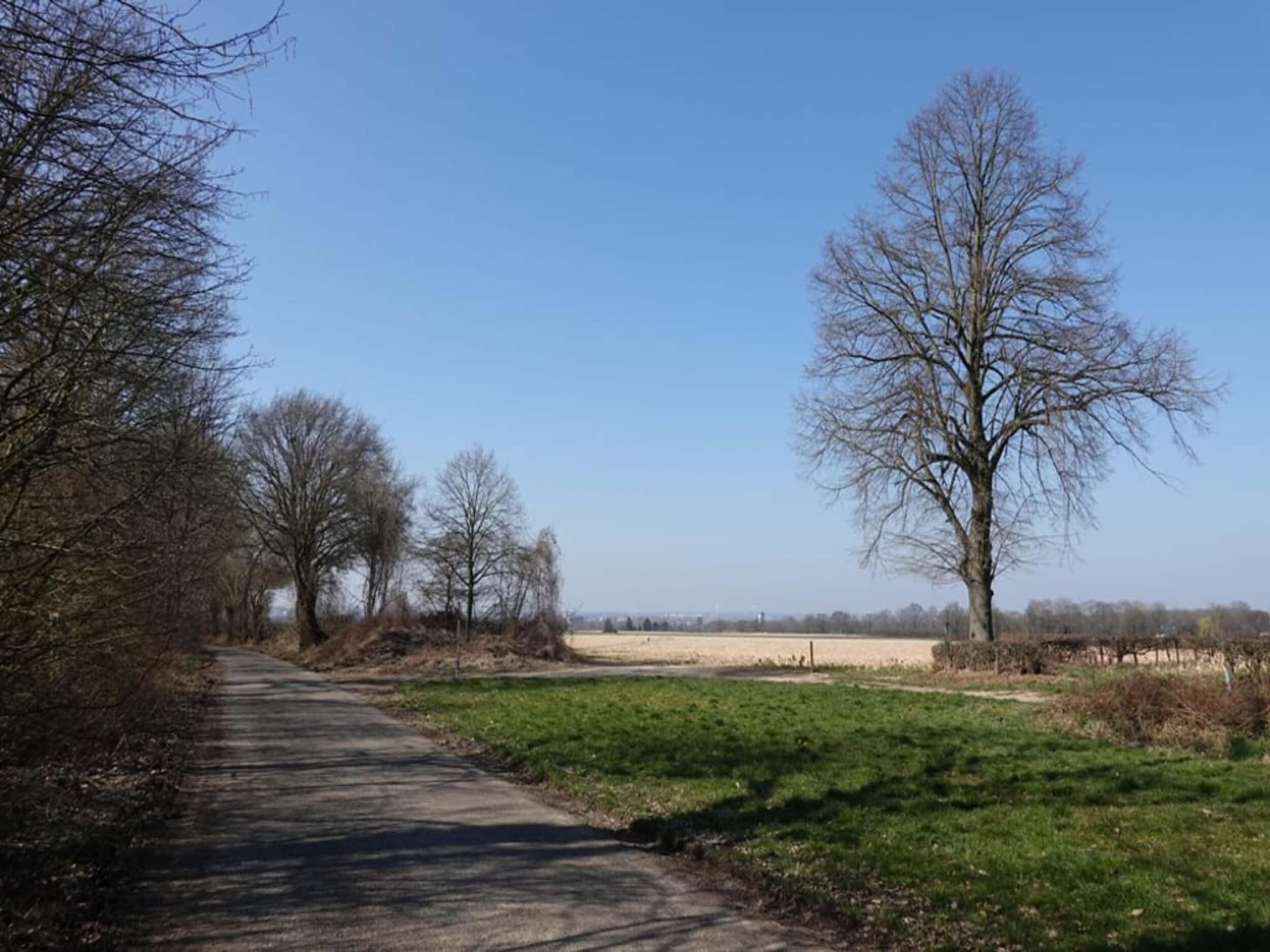 Ravenbosch - Garden Shed in Bemelen - Foto 23 van 41