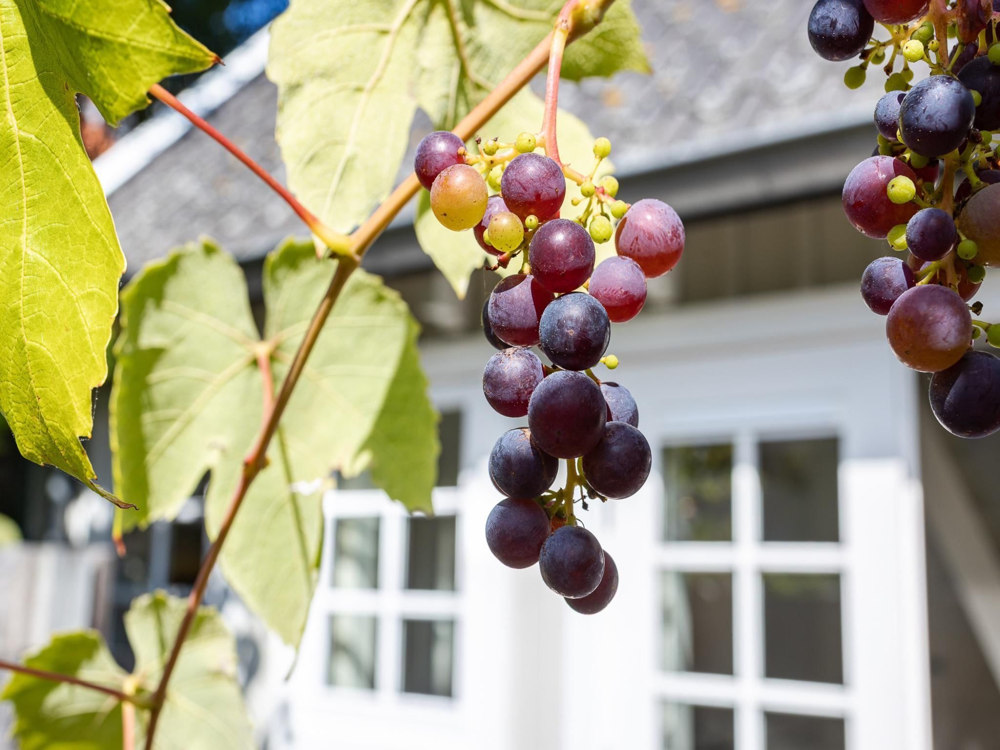 Sfeerbeeld van Lijsterhofstraat 13 - Knusse vakantiewoning nabij strand en centrum in Domburg