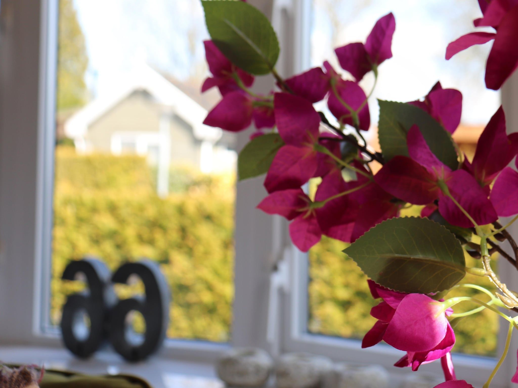 Sfeerbeeld van VT 66 in Tzummarum