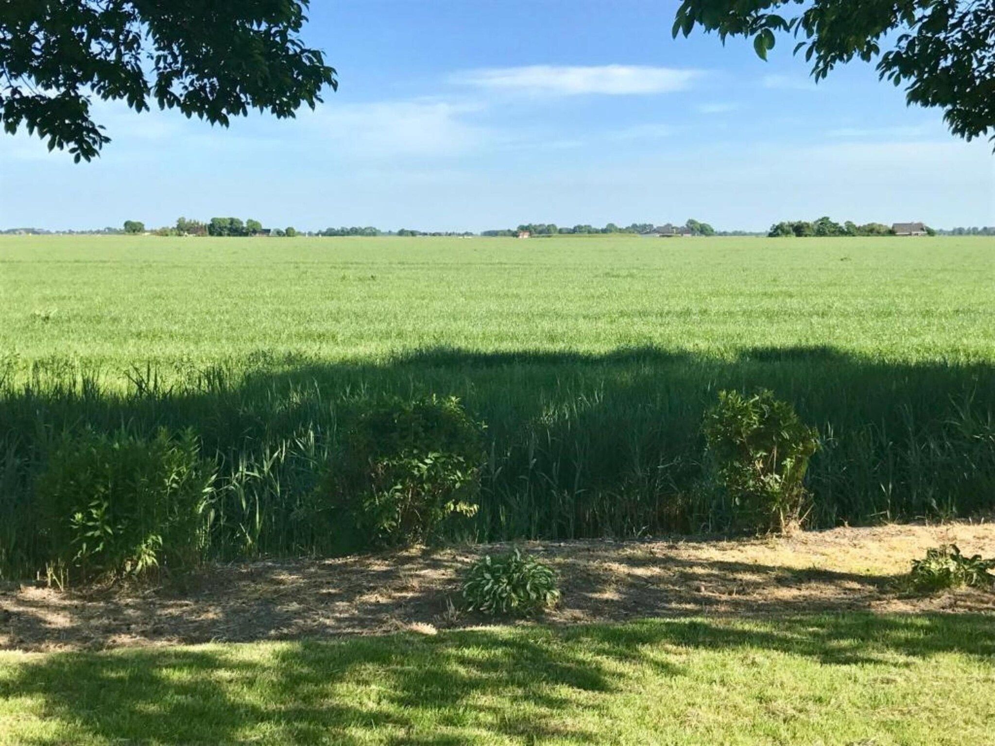 De omgeving van VT 66 in Tzummarum