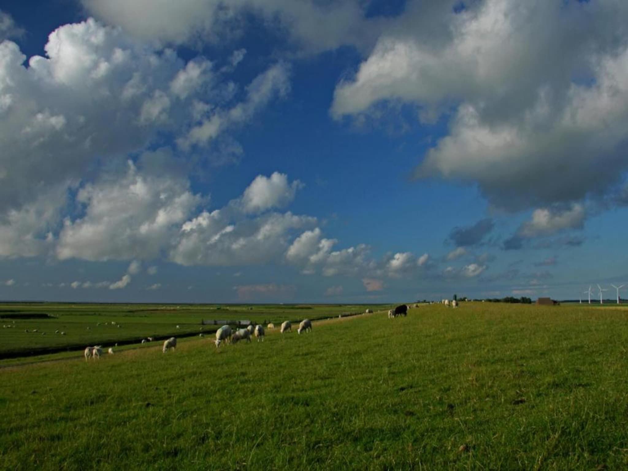 De omgeving van VT 66 in Tzummarum