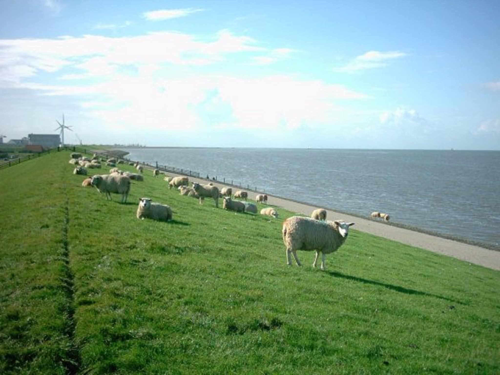 De omgeving van VT 149 in Tzummarum