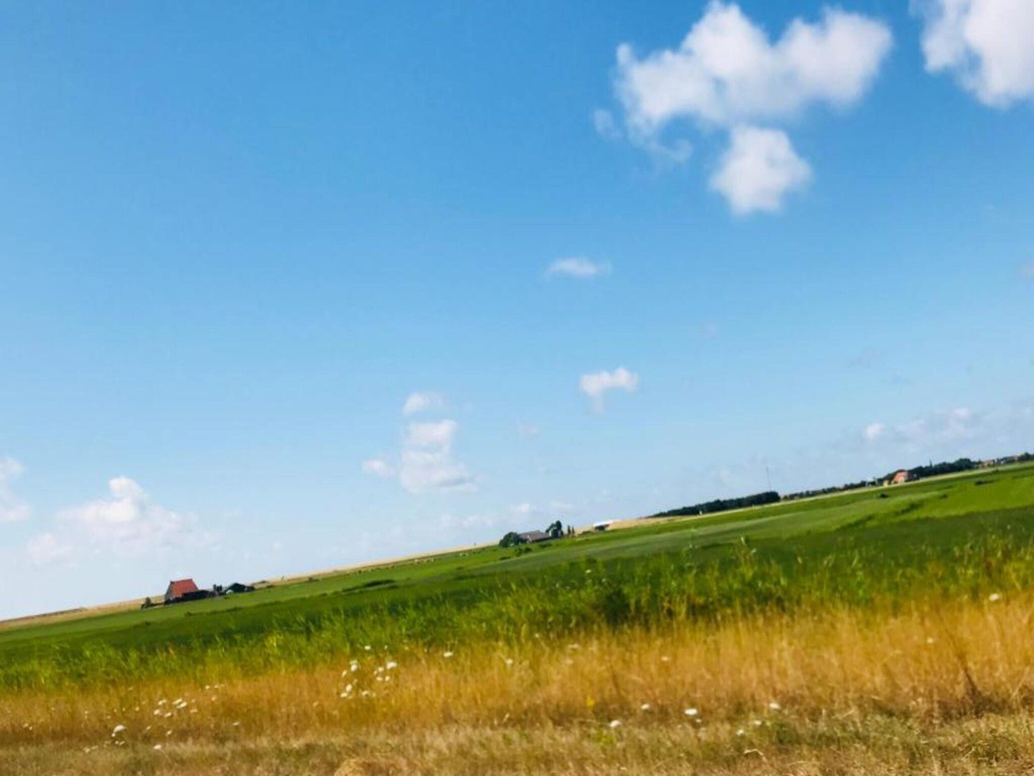 VT 151 in Tzummarum - Foto 32 van 37