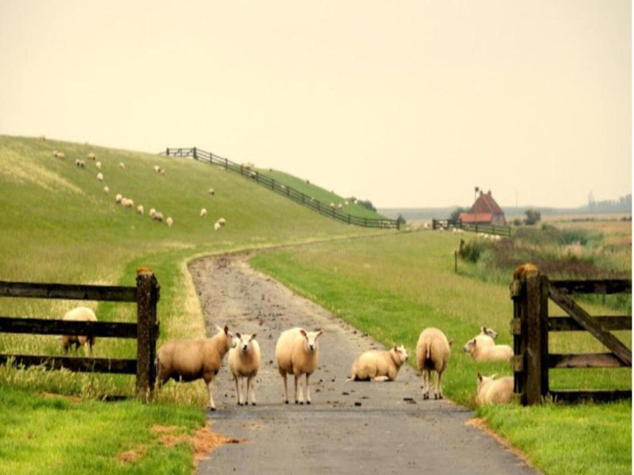 VT 151 in Tzummarum - Foto 33 van 37