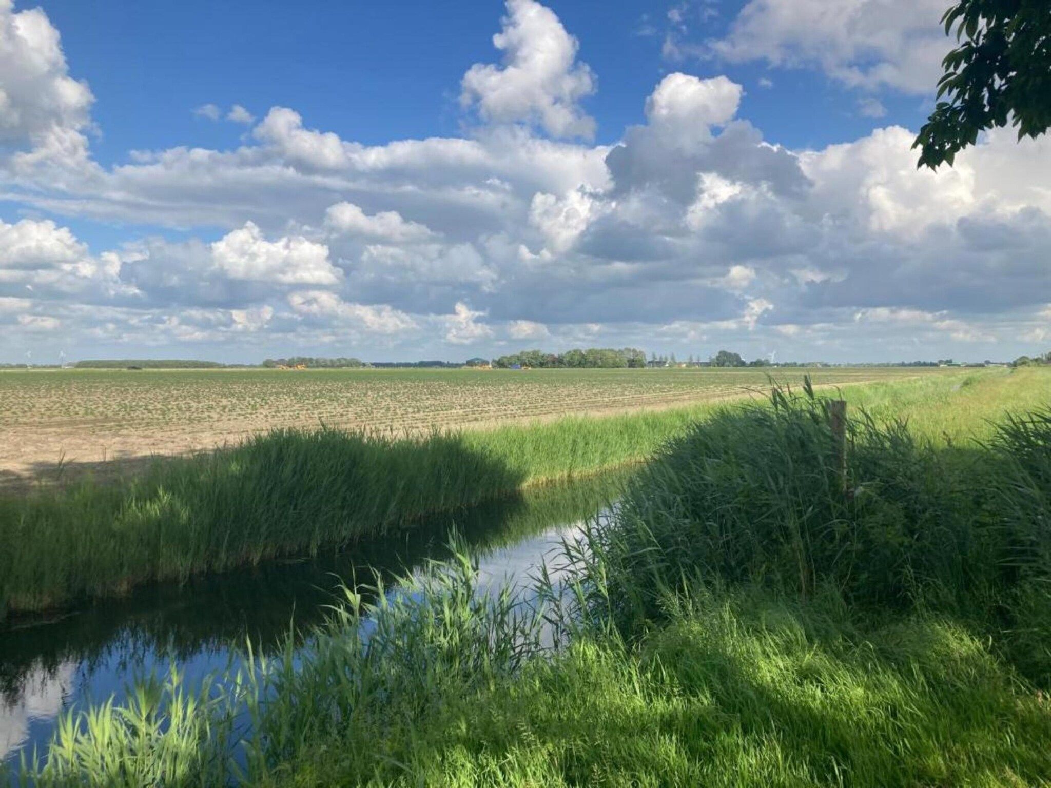 VT 151 in Tzummarum - Foto 35 van 37