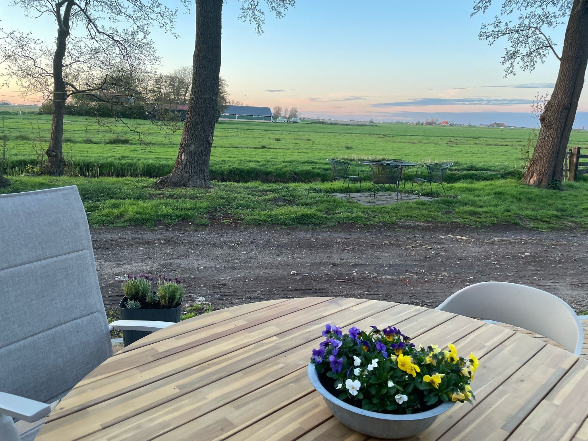 Het terras van Berkenhof appartment in Workum