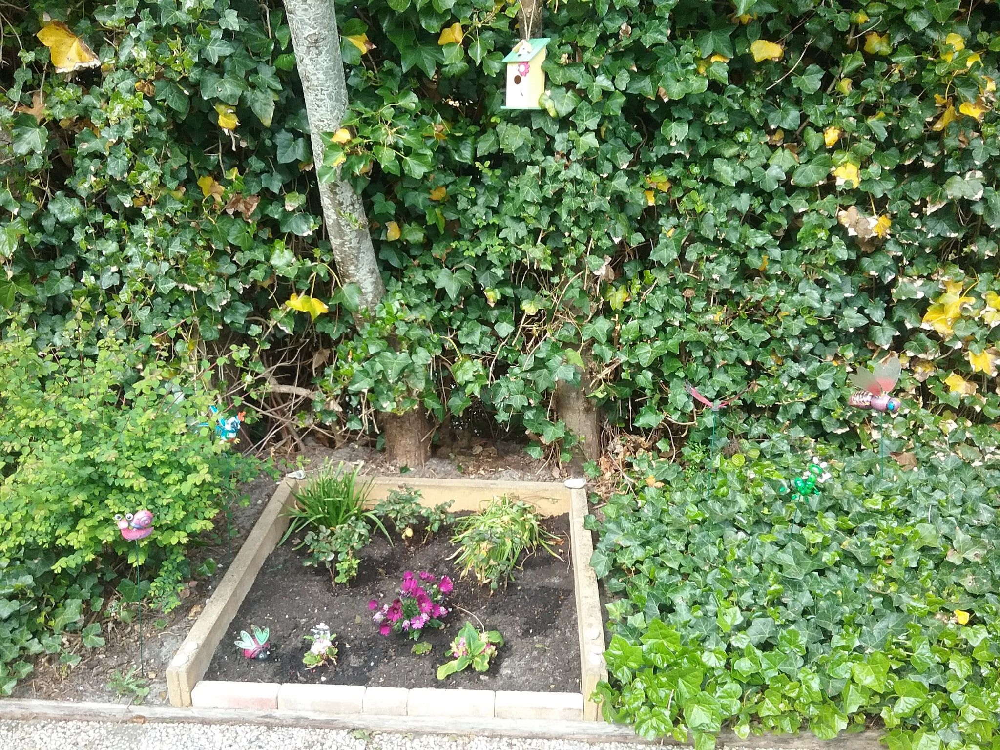 De tuin van Watersnip 9 in Petten