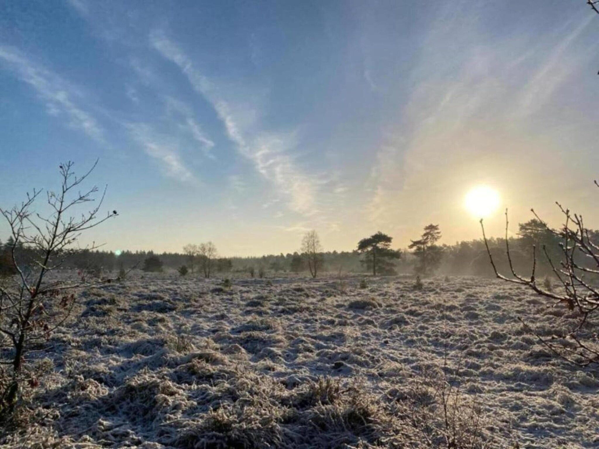 De omgeving van Heivlinder 4p in Ermelo