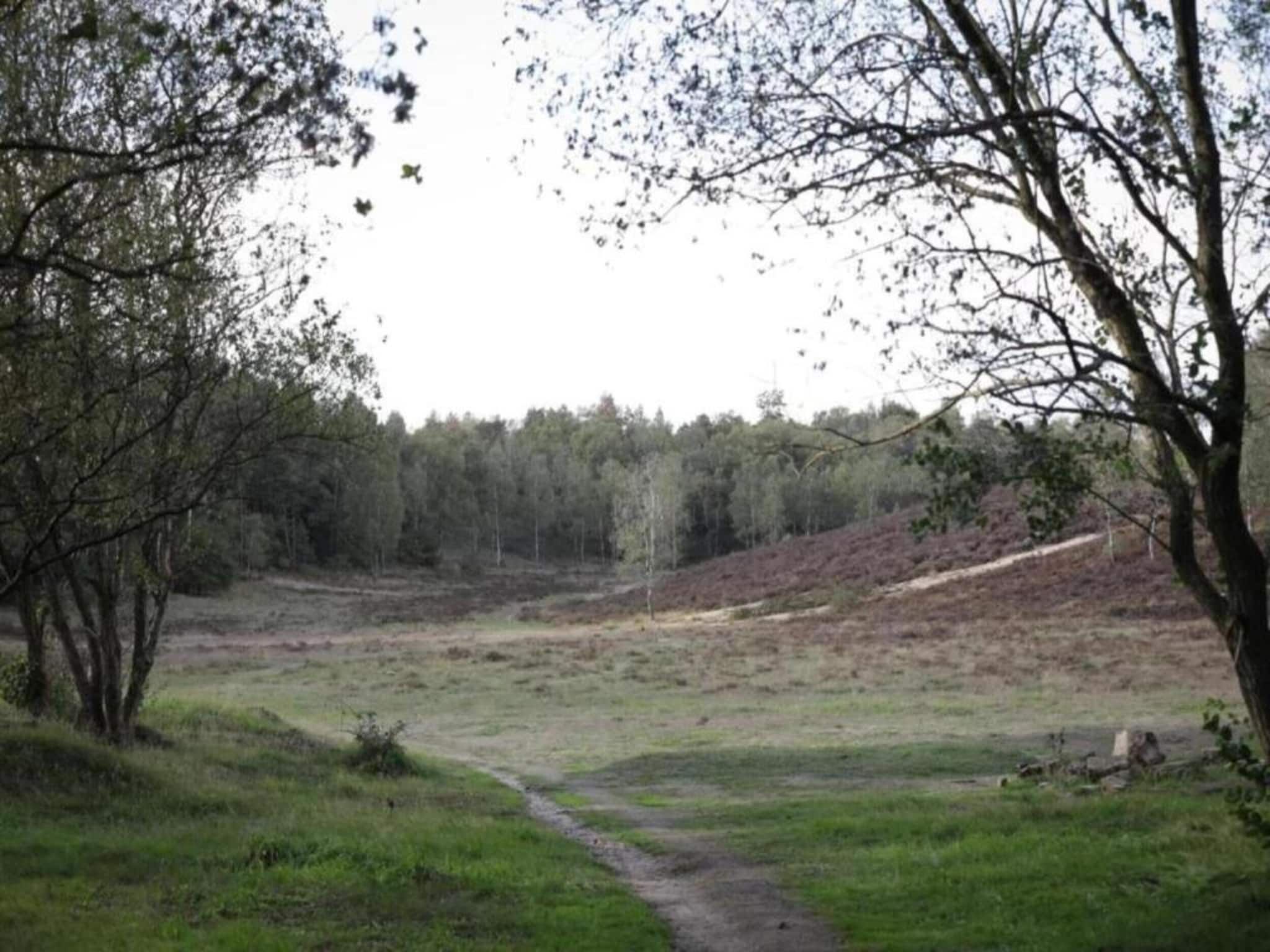 De omgeving van Heivlinder 4p in Ermelo