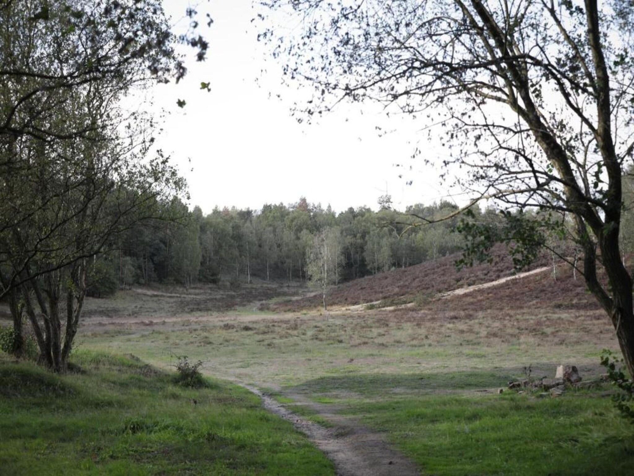 De omgeving van Heivlinder 4p in Ermelo