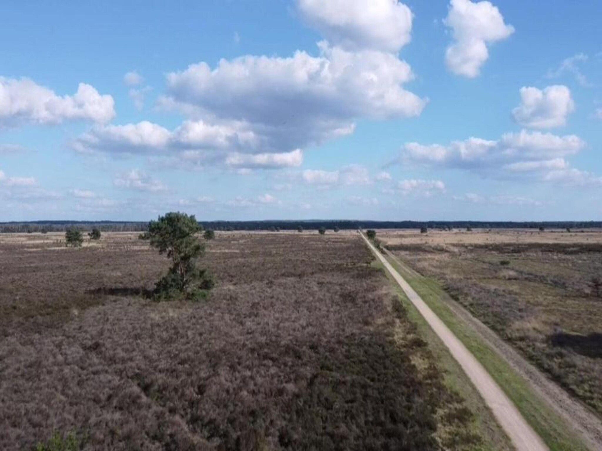 De omgeving van Heivlinder 4p in Ermelo