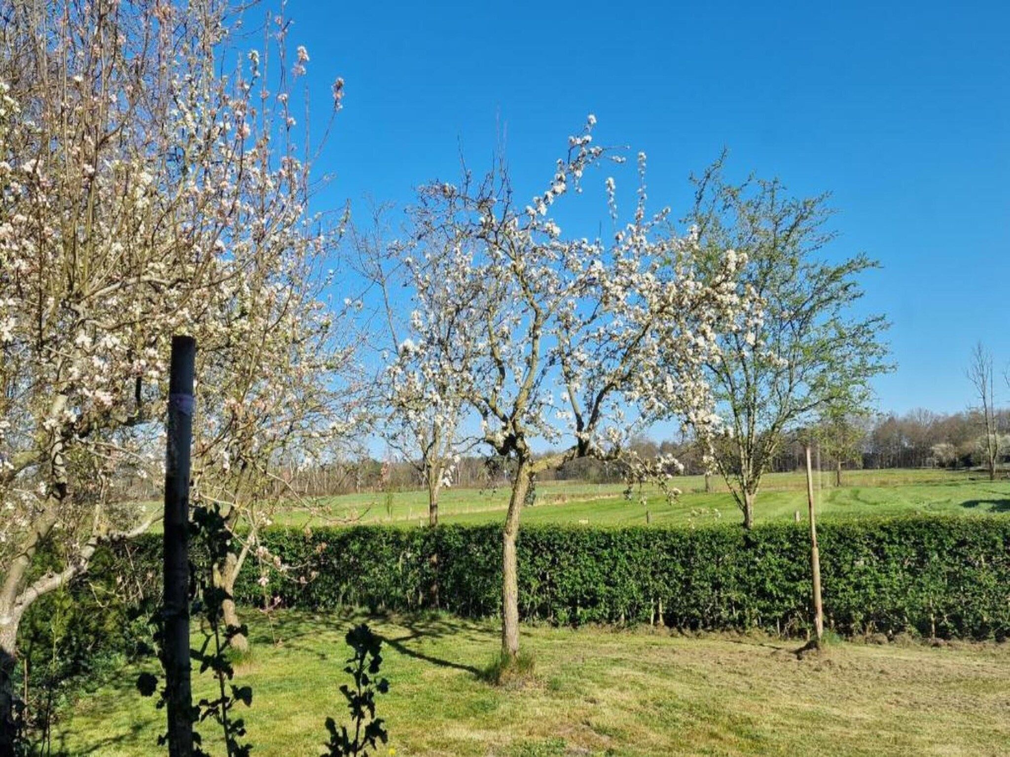 De omgeving van Heivlinder 4p in Ermelo