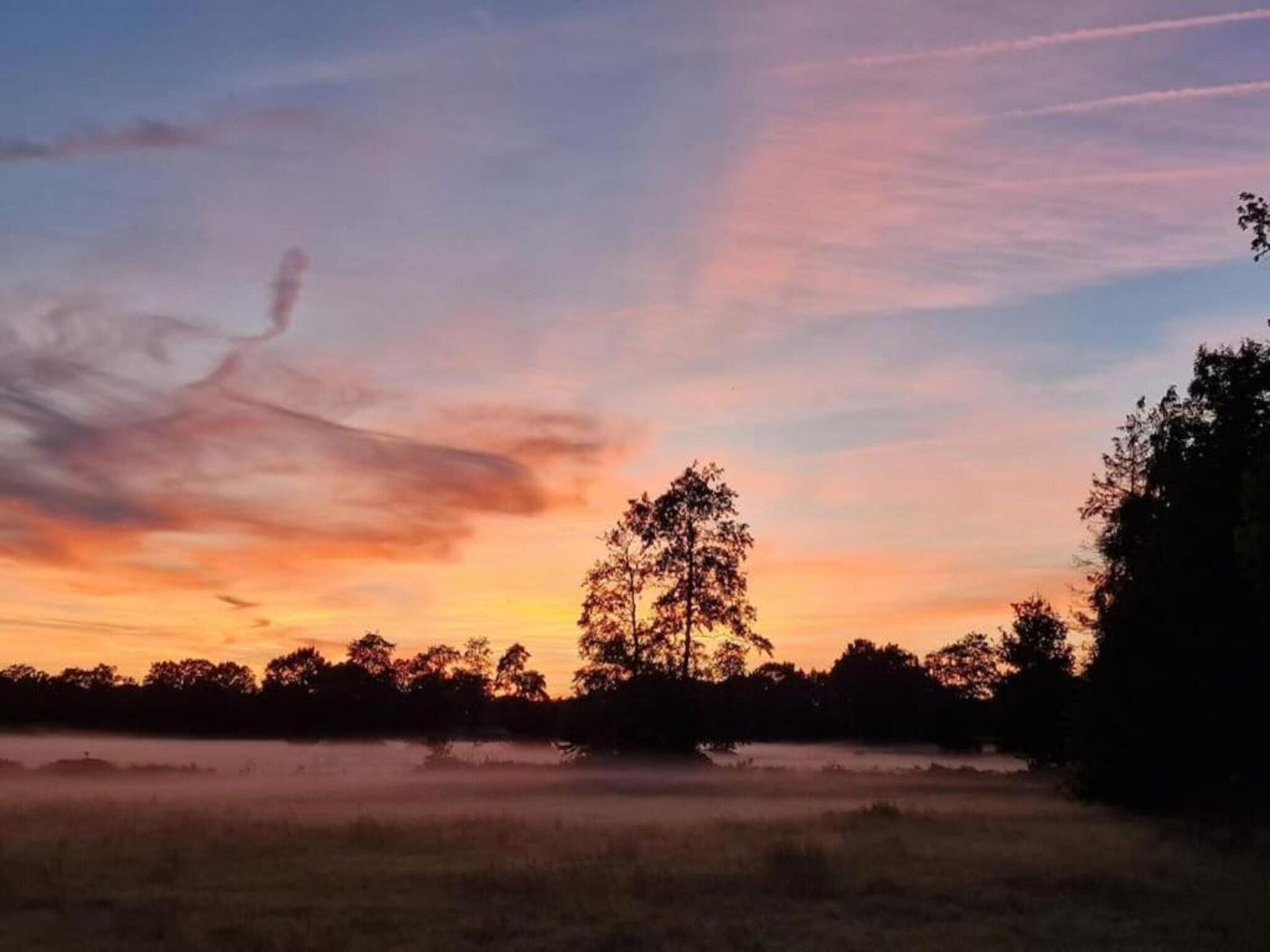 De omgeving van Heivlinder 4+2p in Ermelo