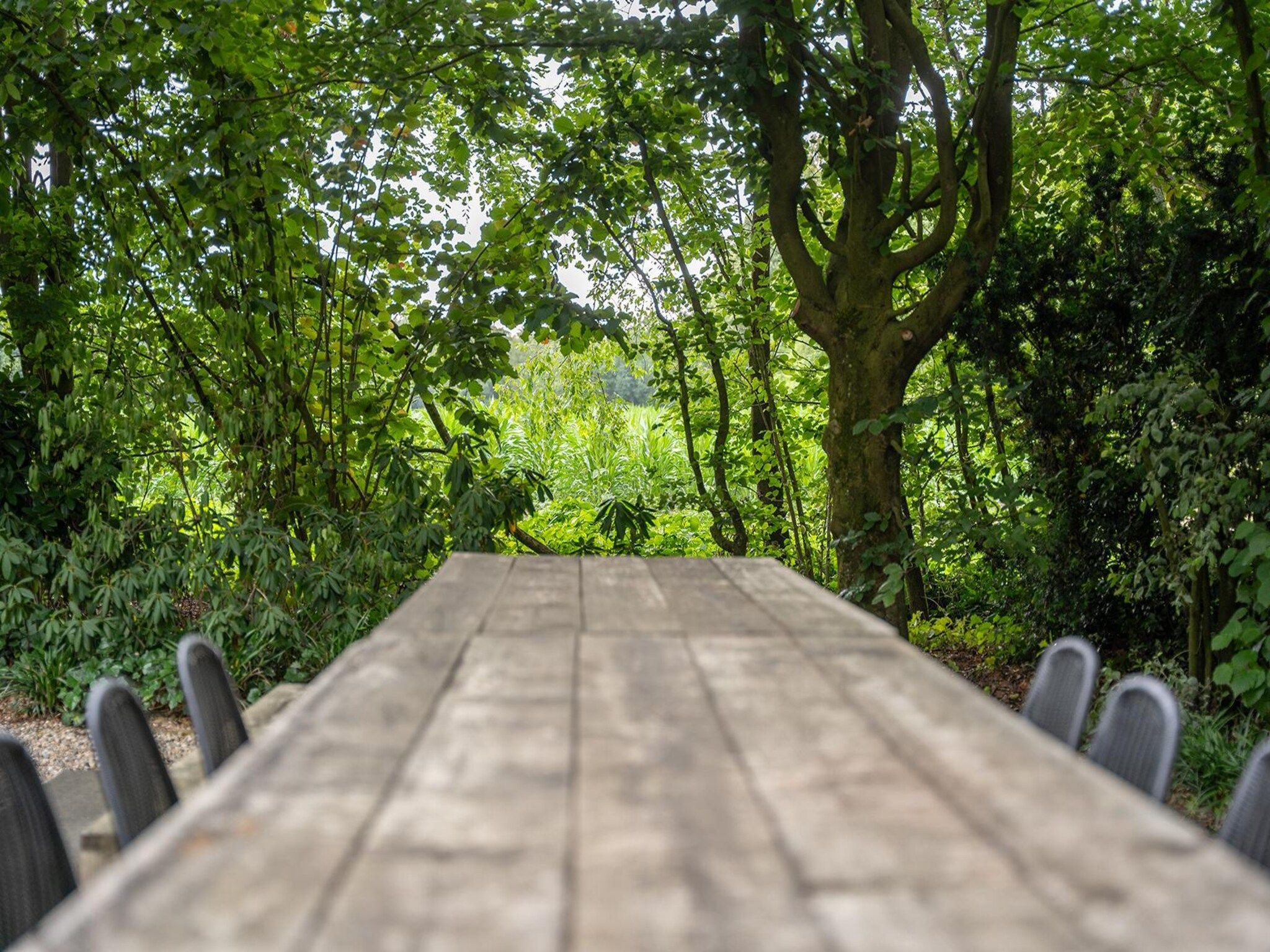 Het terras van Vlindervallei Boshuis 16p in Ermelo