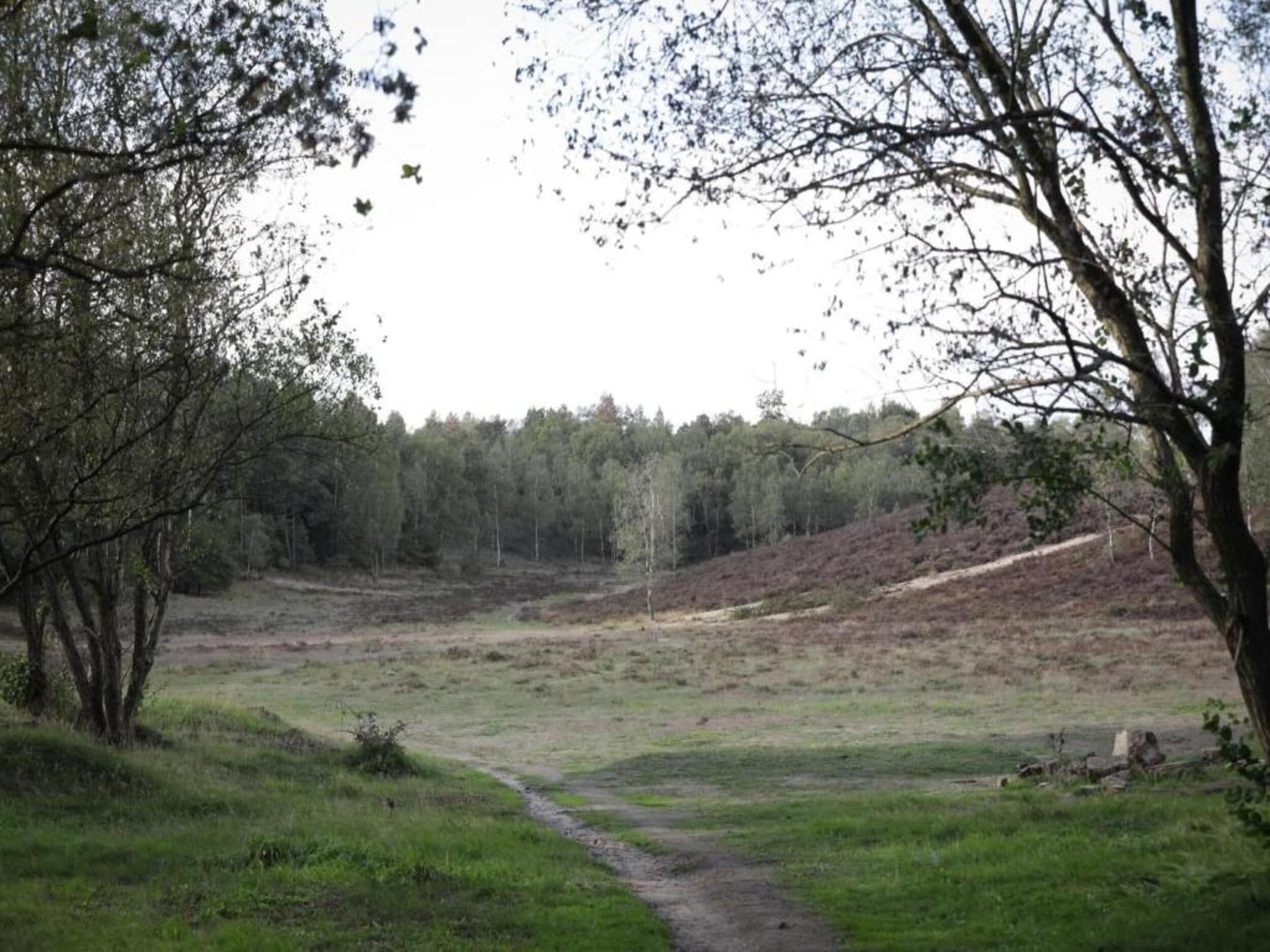 De omgeving van Vlindervallei Studio 2p in Ermelo