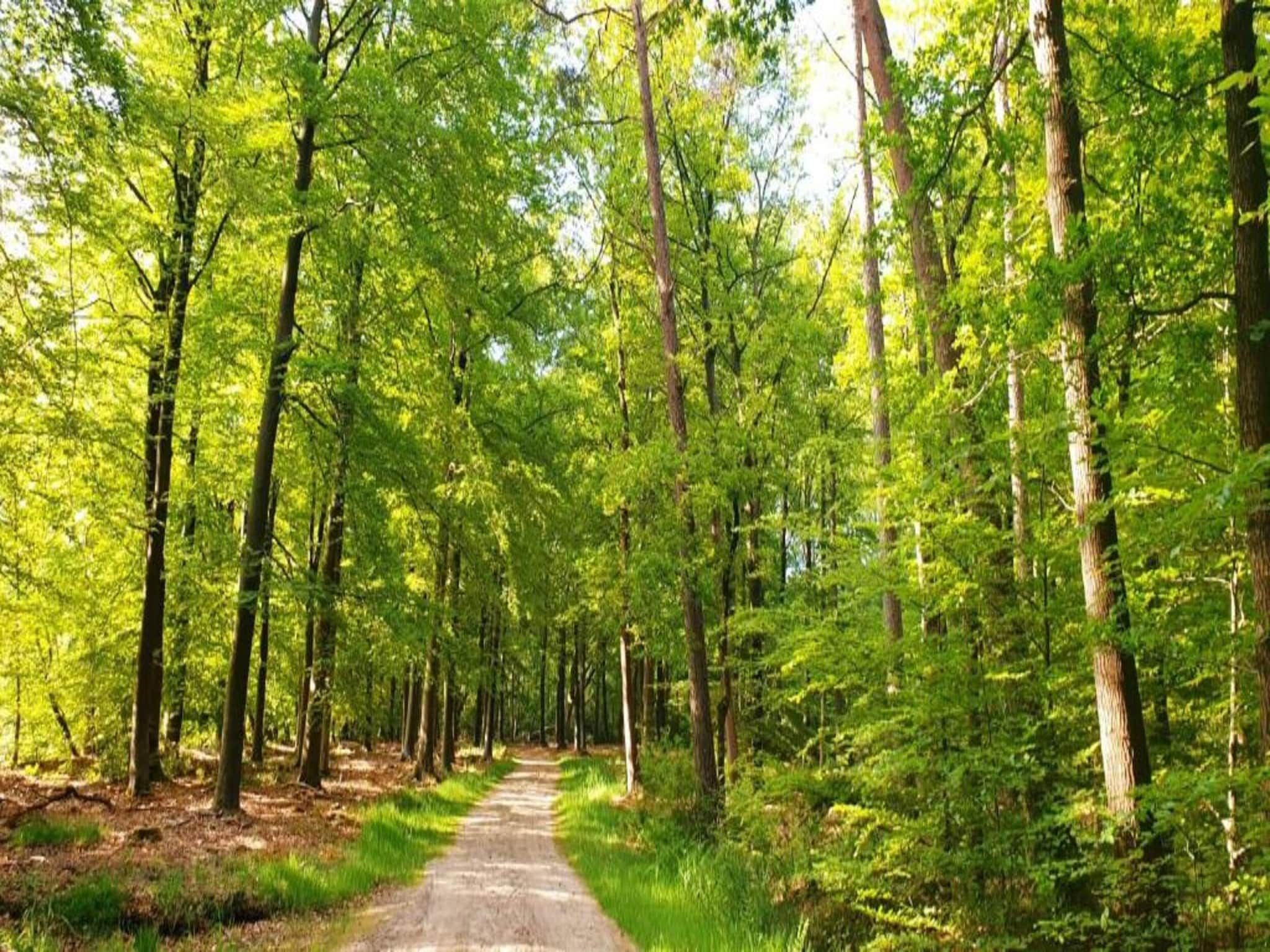 De omgeving van Vlindervallei Studio 2p in Ermelo