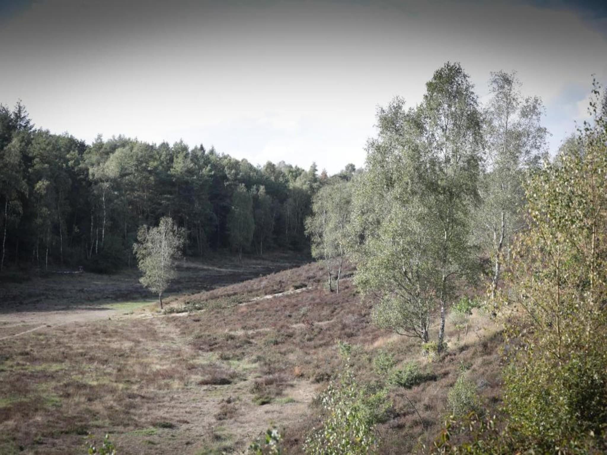 De omgeving van Vlindervallei Studio 2p in Ermelo