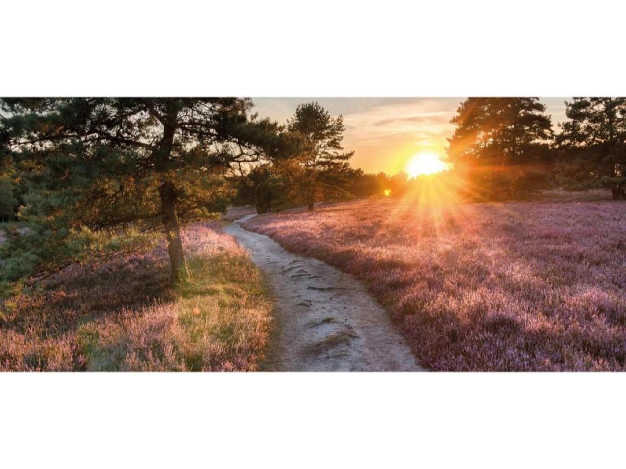 De omgeving van Vlindervallei Studio 2p in Ermelo