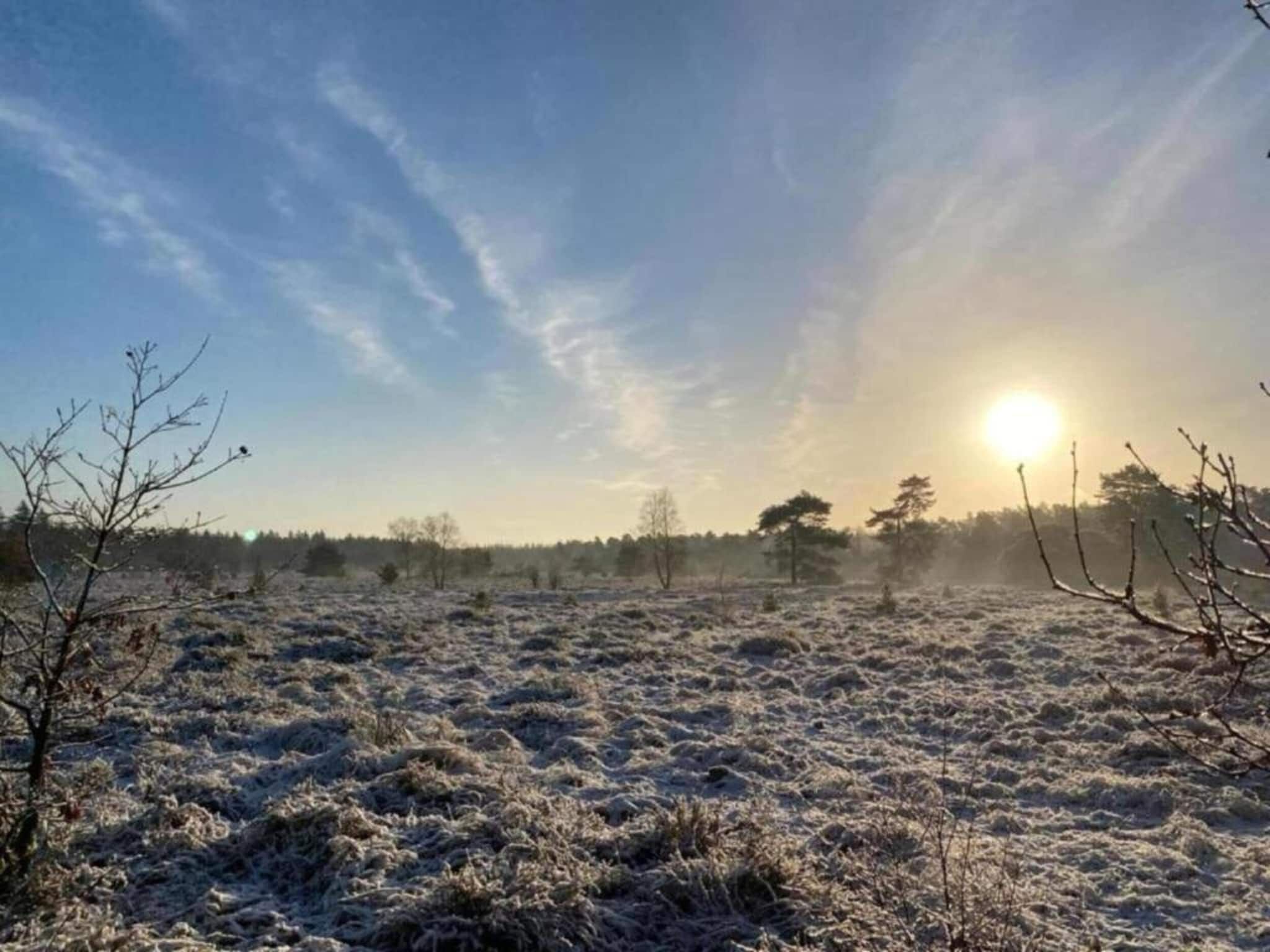 De omgeving van Vlindervallei Studio 2p in Ermelo
