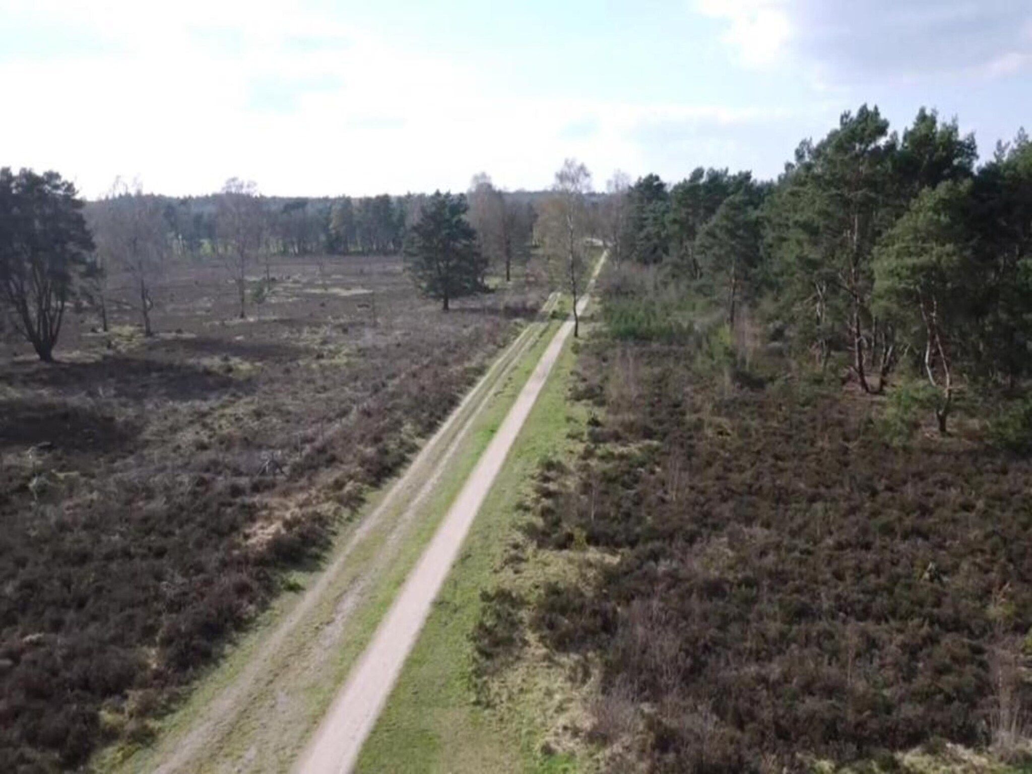 De omgeving van Heivlinder Comfort 4p in Ermelo