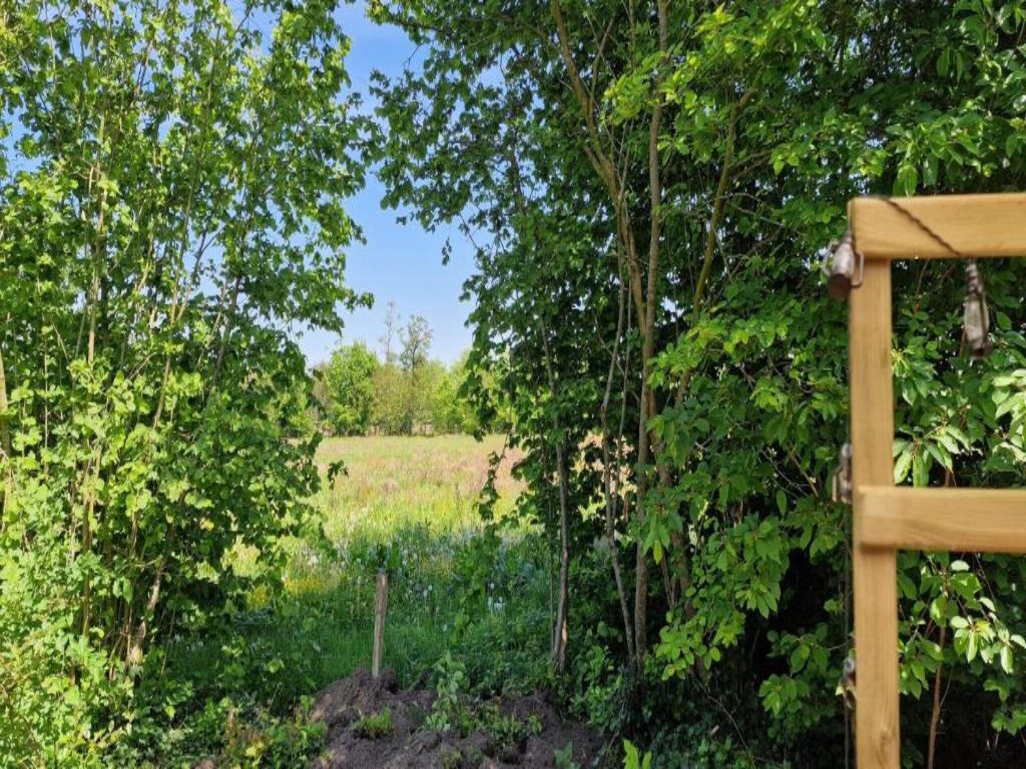 De omgeving van Heivlinder Comfort 4p in Ermelo