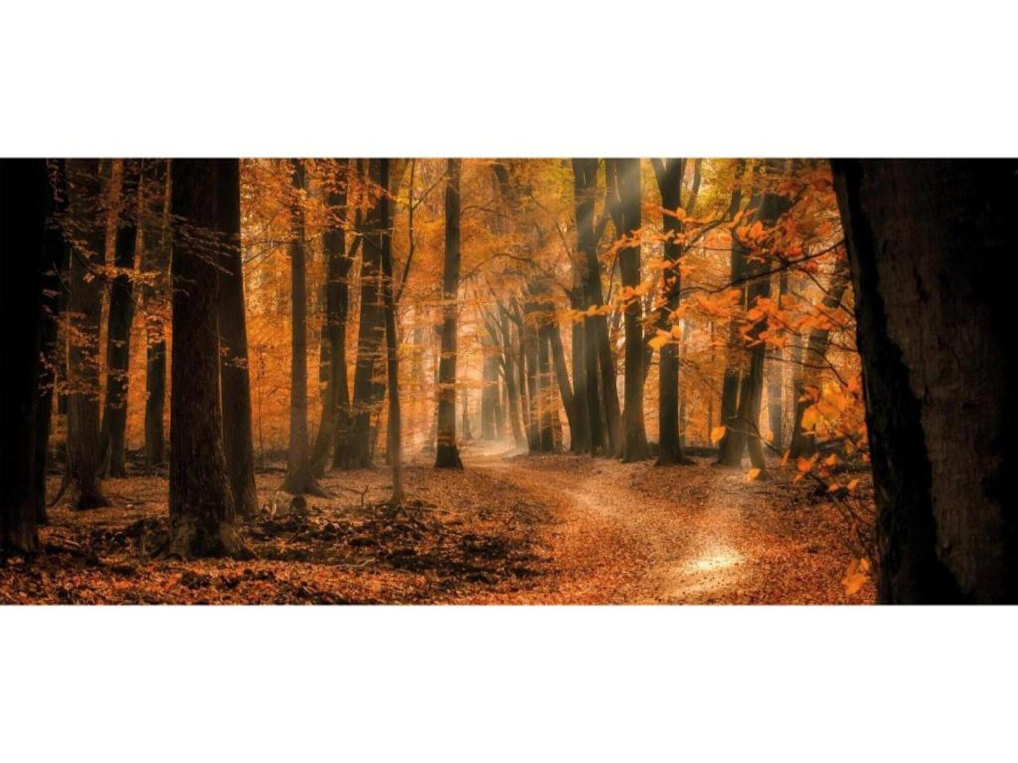 De omgeving van Heivlinder Comfort 4p in Ermelo